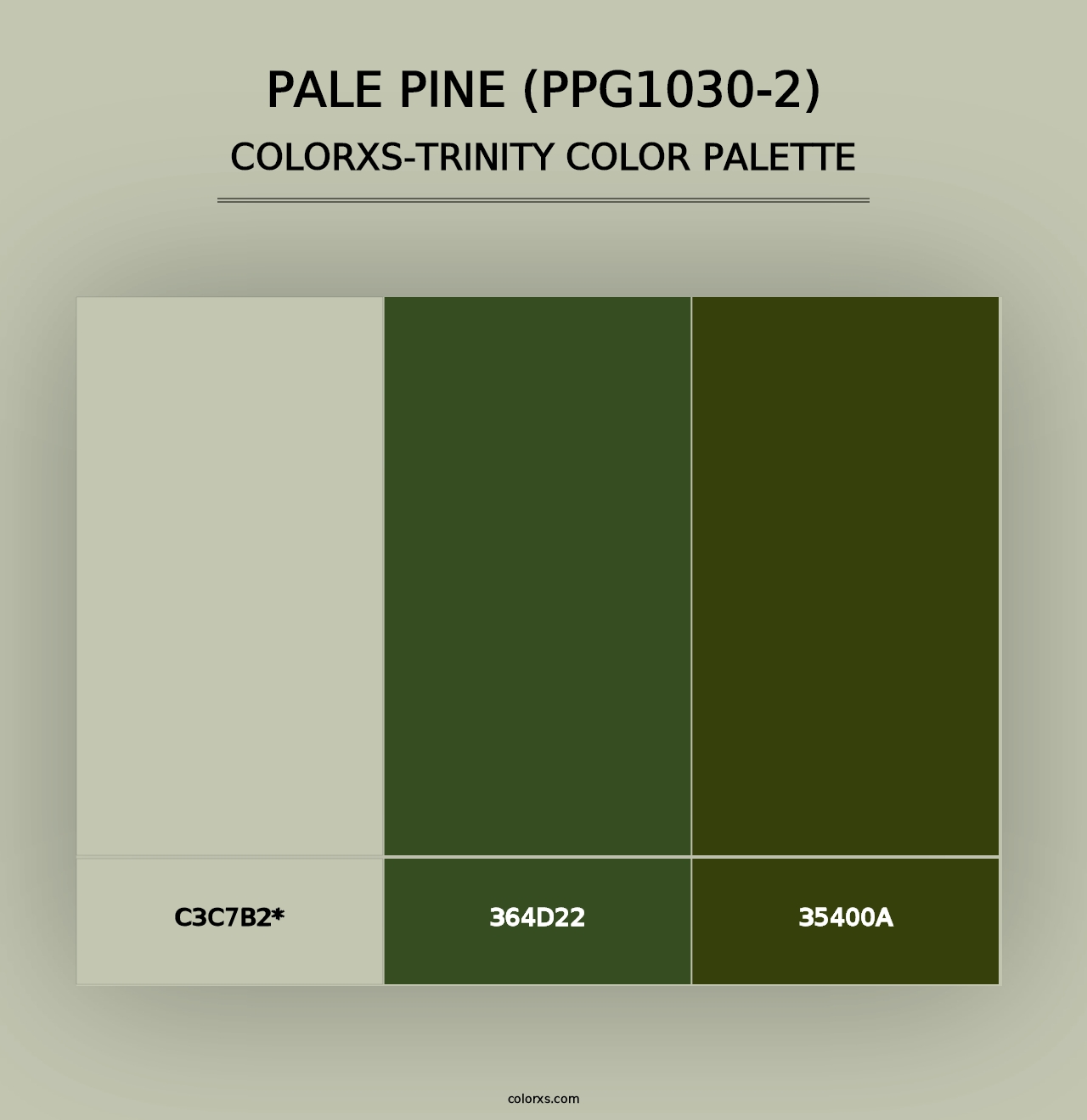 Pale Pine (PPG1030-2) - Colorxs Trinity Palette