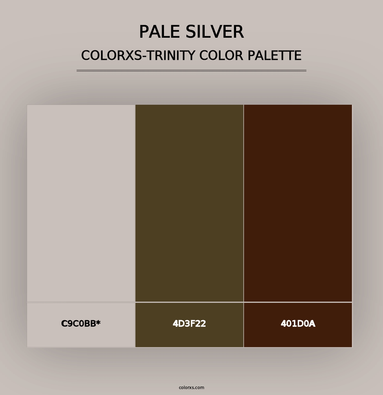 Pale Silver - Colorxs Trinity Palette