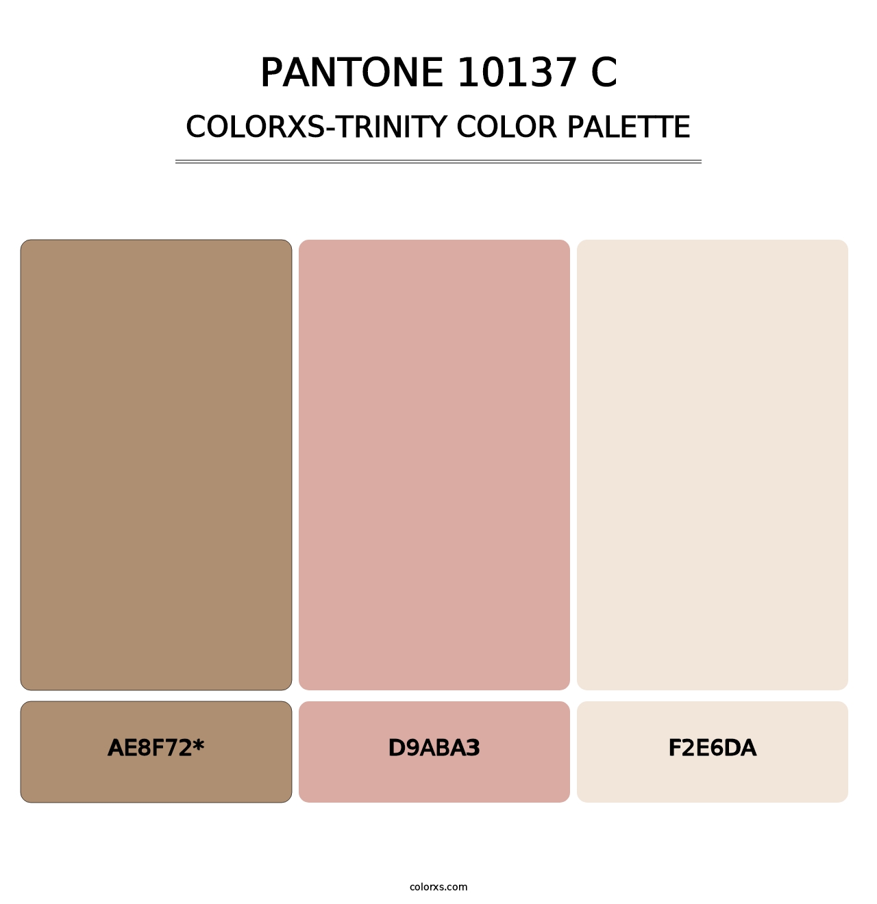 PANTONE 10137 C - Colorxs Trinity Palette