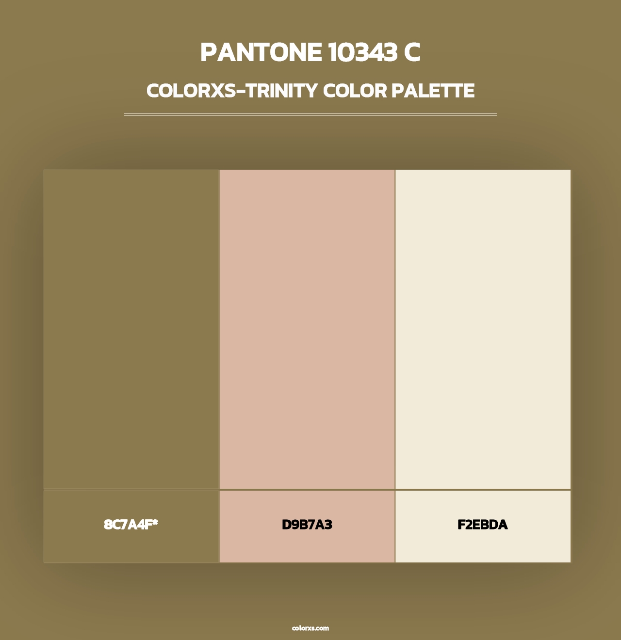 PANTONE 10343 C - Colorxs Trinity Palette