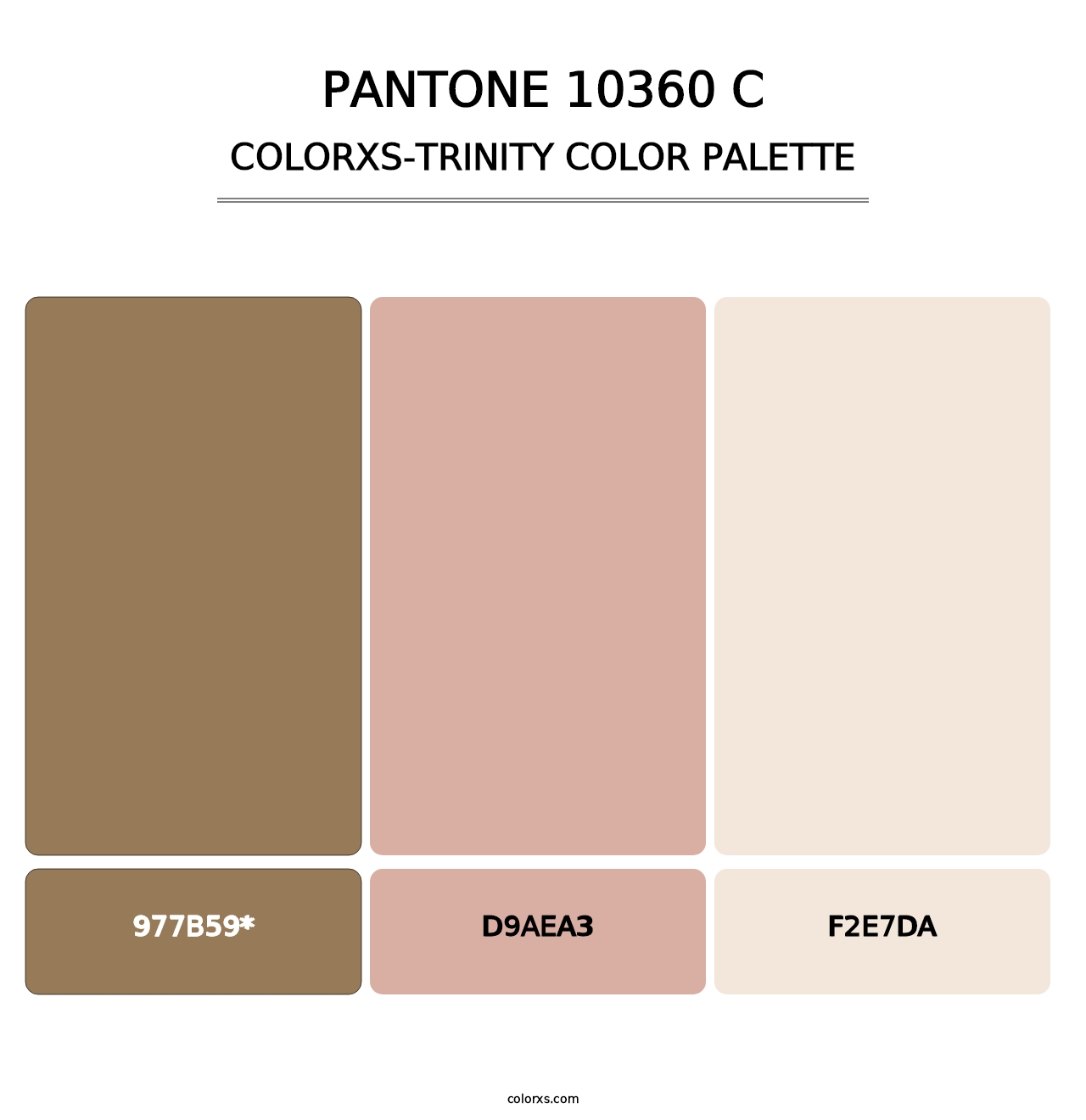 PANTONE 10360 C - Colorxs Trinity Palette