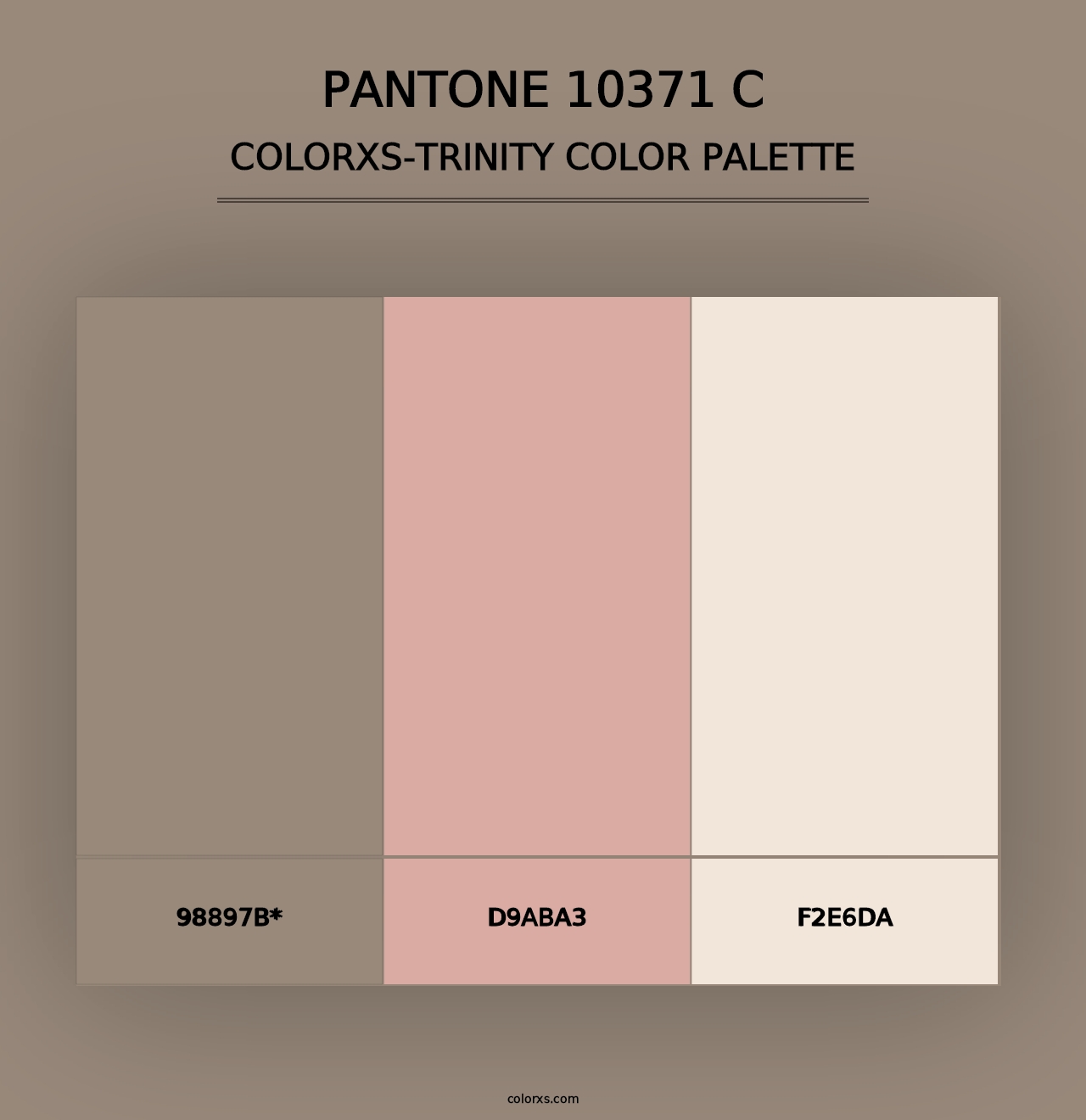 PANTONE 10371 C - Colorxs Trinity Palette