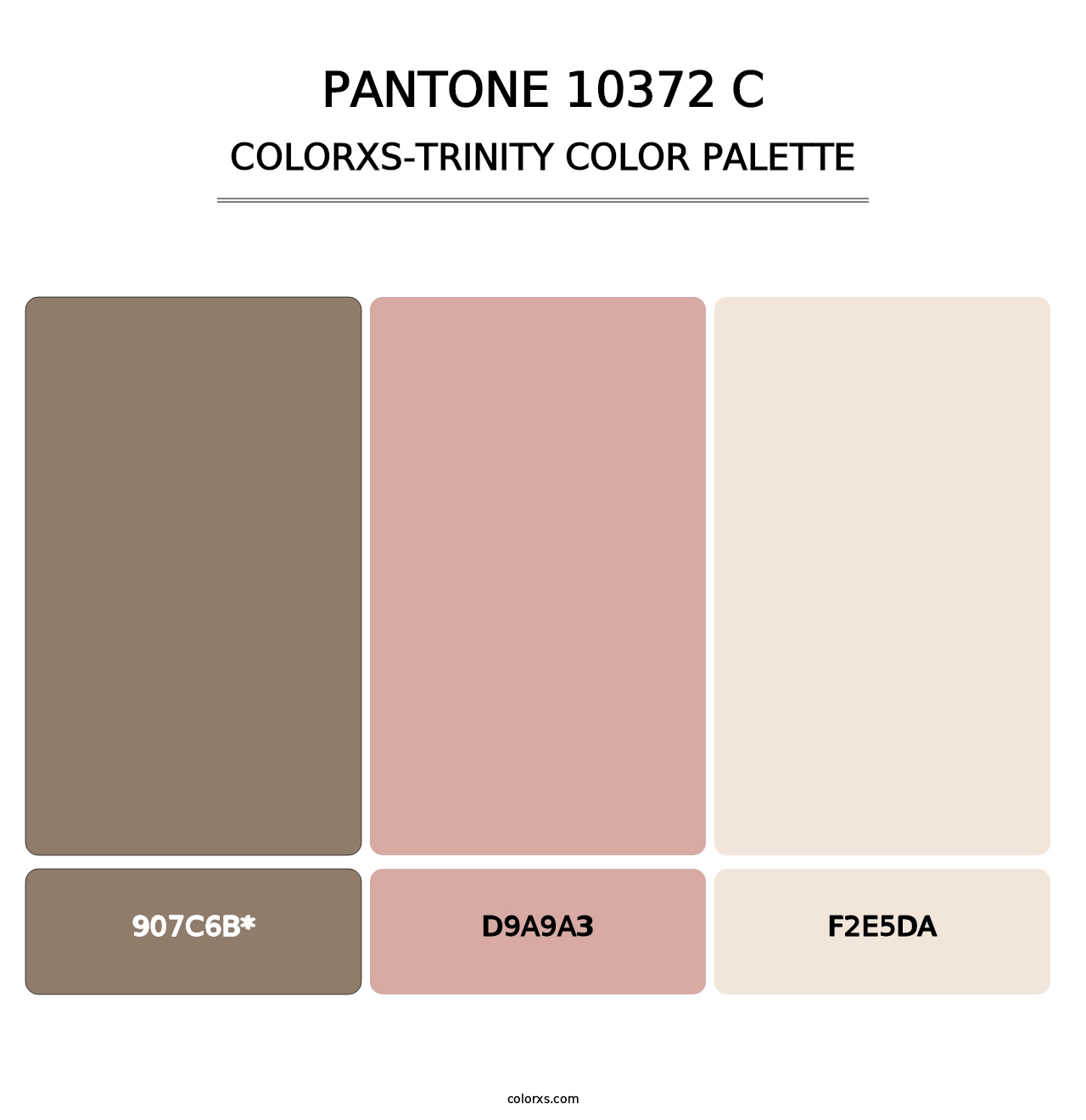 PANTONE 10372 C - Colorxs Trinity Palette