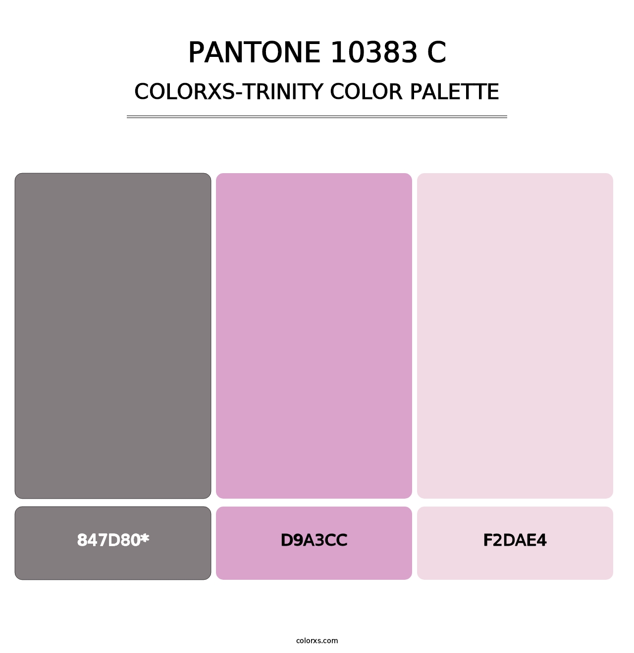 PANTONE 10383 C - Colorxs Trinity Palette