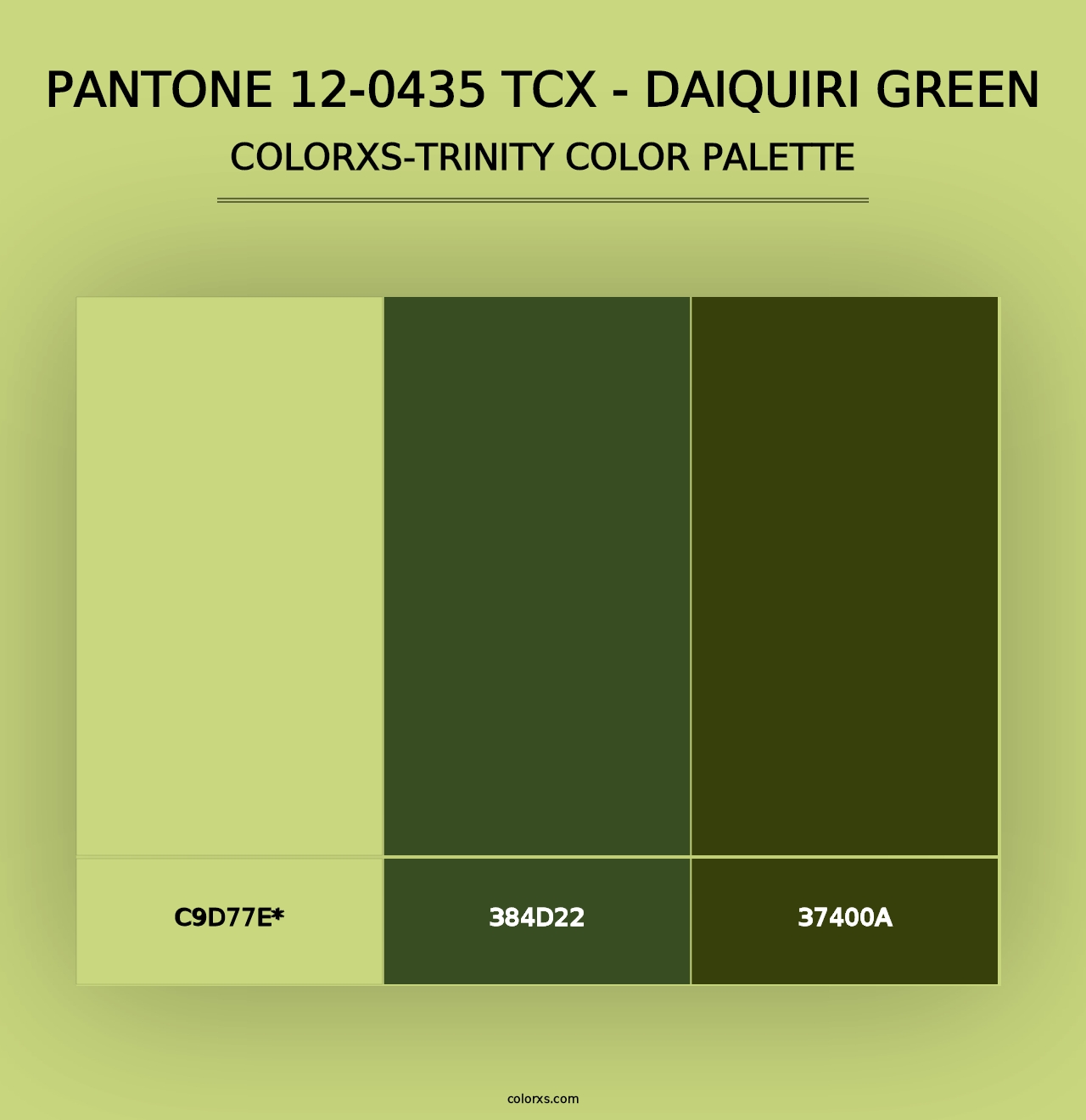 PANTONE 12-0435 TCX - Daiquiri Green - Colorxs Trinity Palette