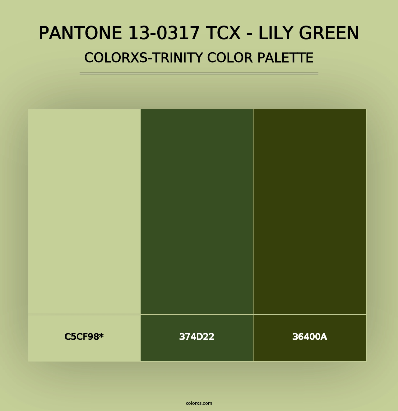 PANTONE 13-0317 TCX - Lily Green - Colorxs Trinity Palette