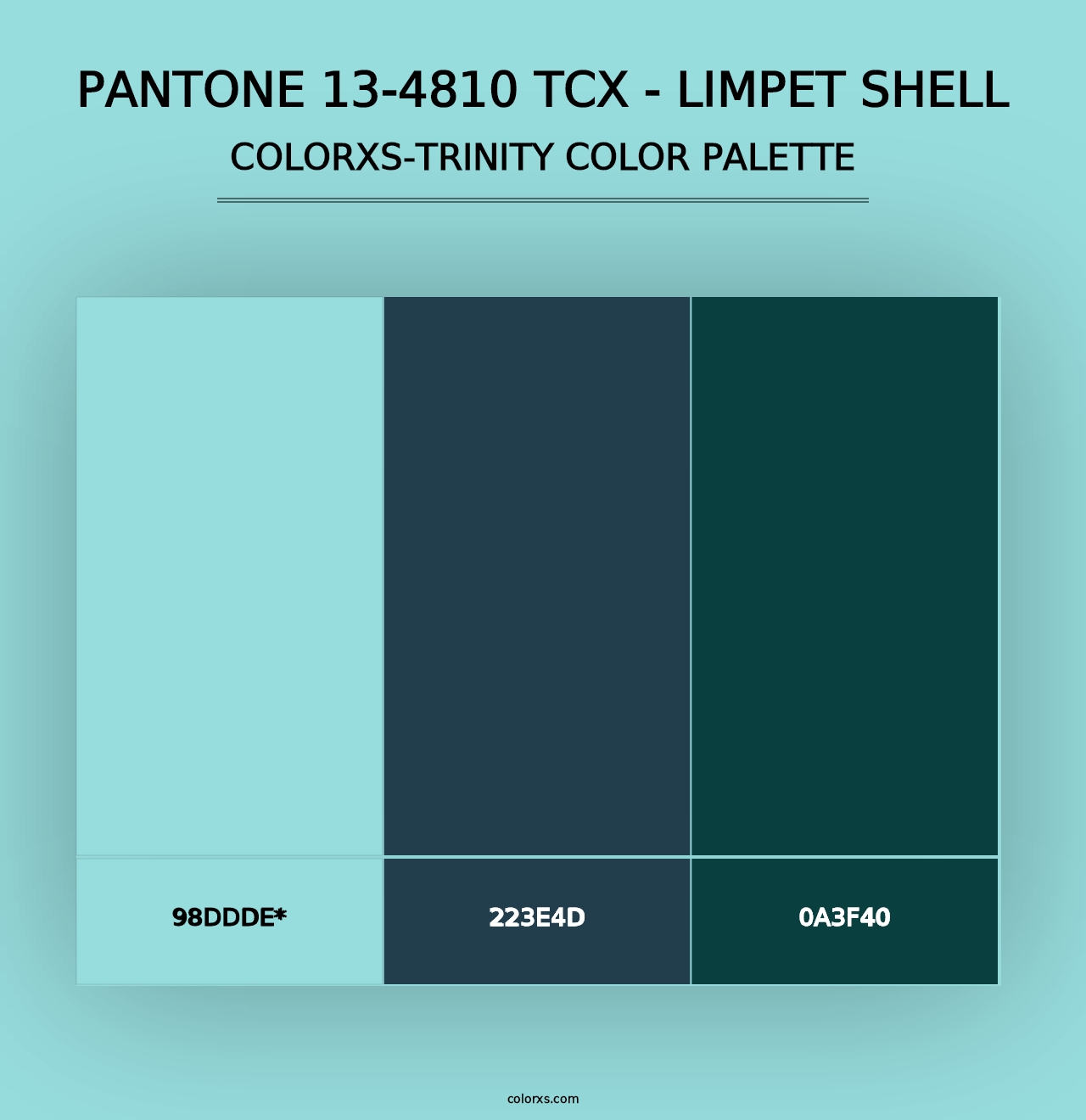 PANTONE 13-4810 TCX - Limpet Shell - Colorxs Trinity Palette