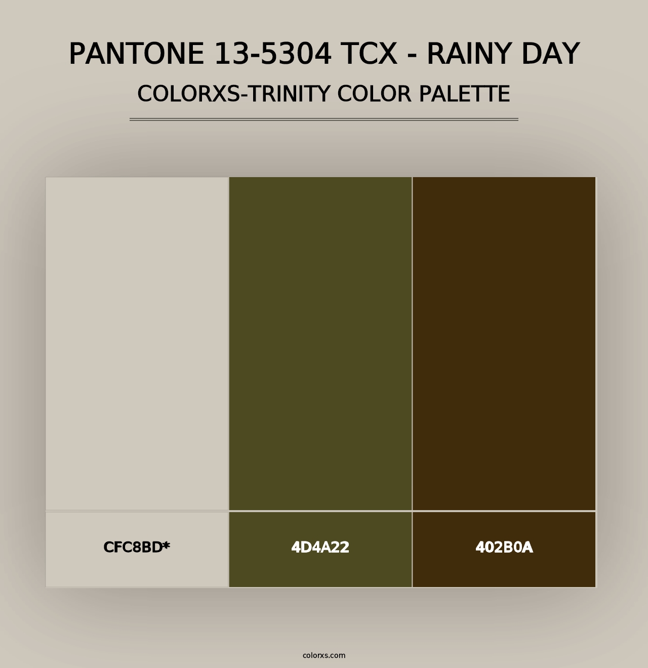 PANTONE 13-5304 TCX - Rainy Day - Colorxs Trinity Palette