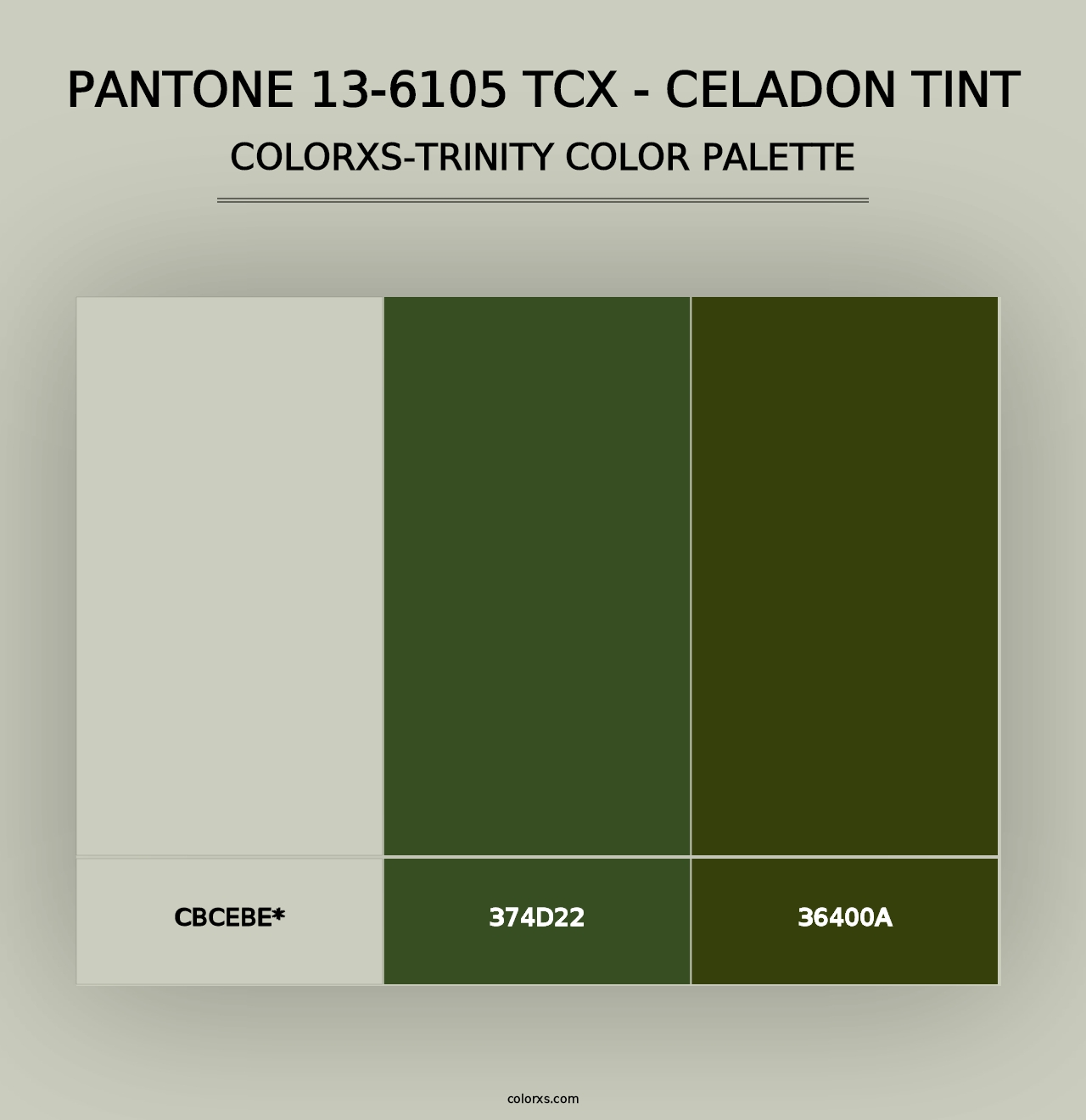 PANTONE 13-6105 TCX - Celadon Tint - Colorxs Trinity Palette