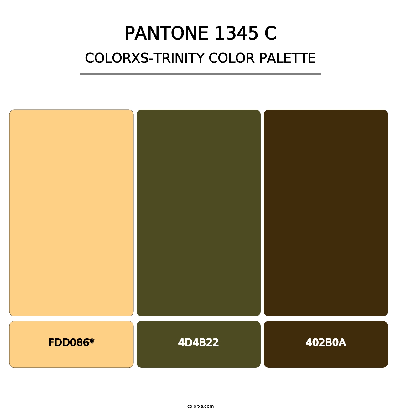 PANTONE 1345 C - Colorxs Trinity Palette