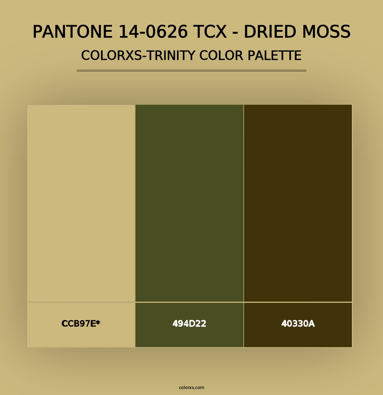 PANTONE 14-0626 TCX - Dried Moss - Colorxs Trinity Palette