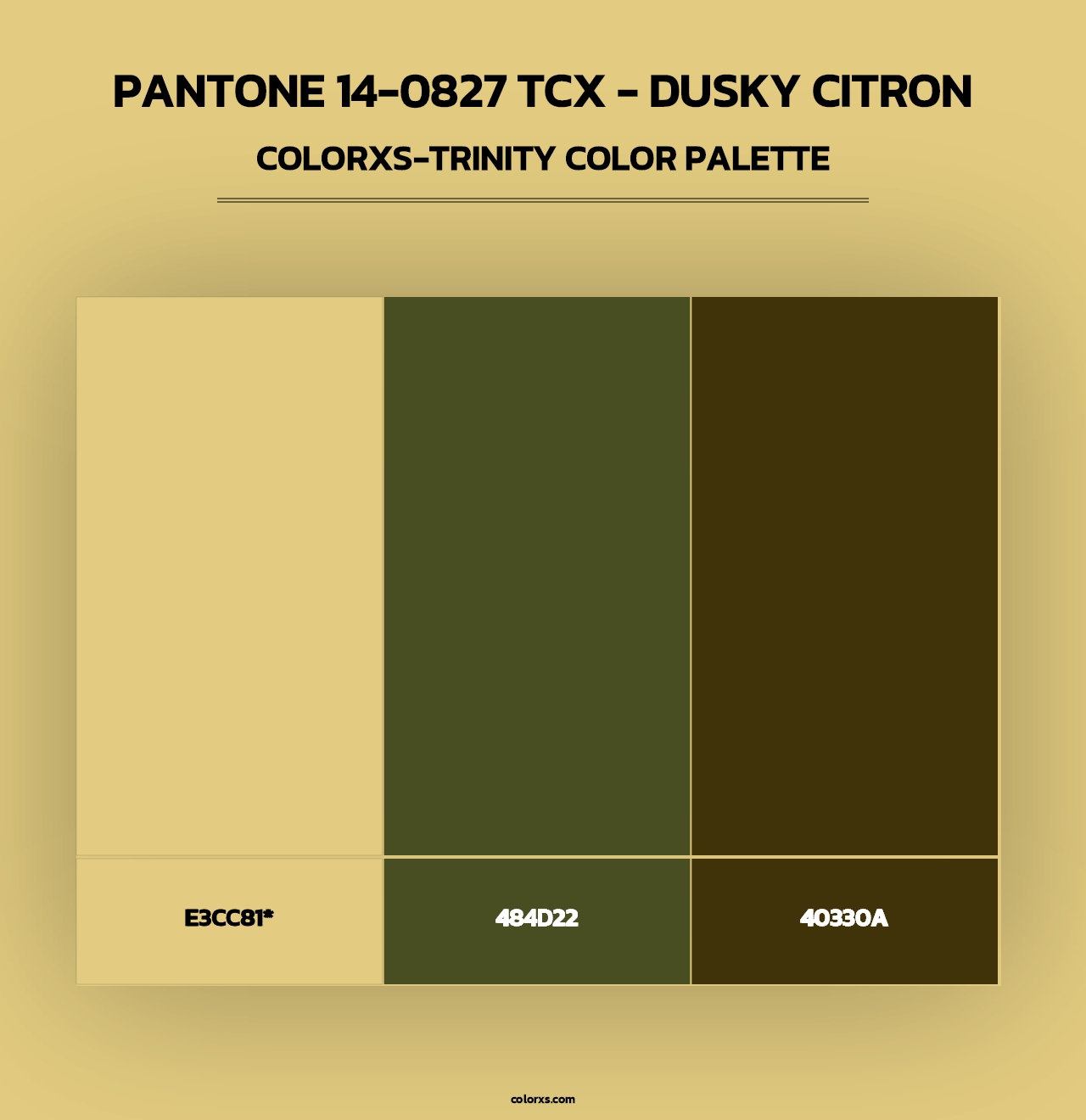 PANTONE 14-0827 TCX - Dusky Citron - Colorxs Trinity Palette