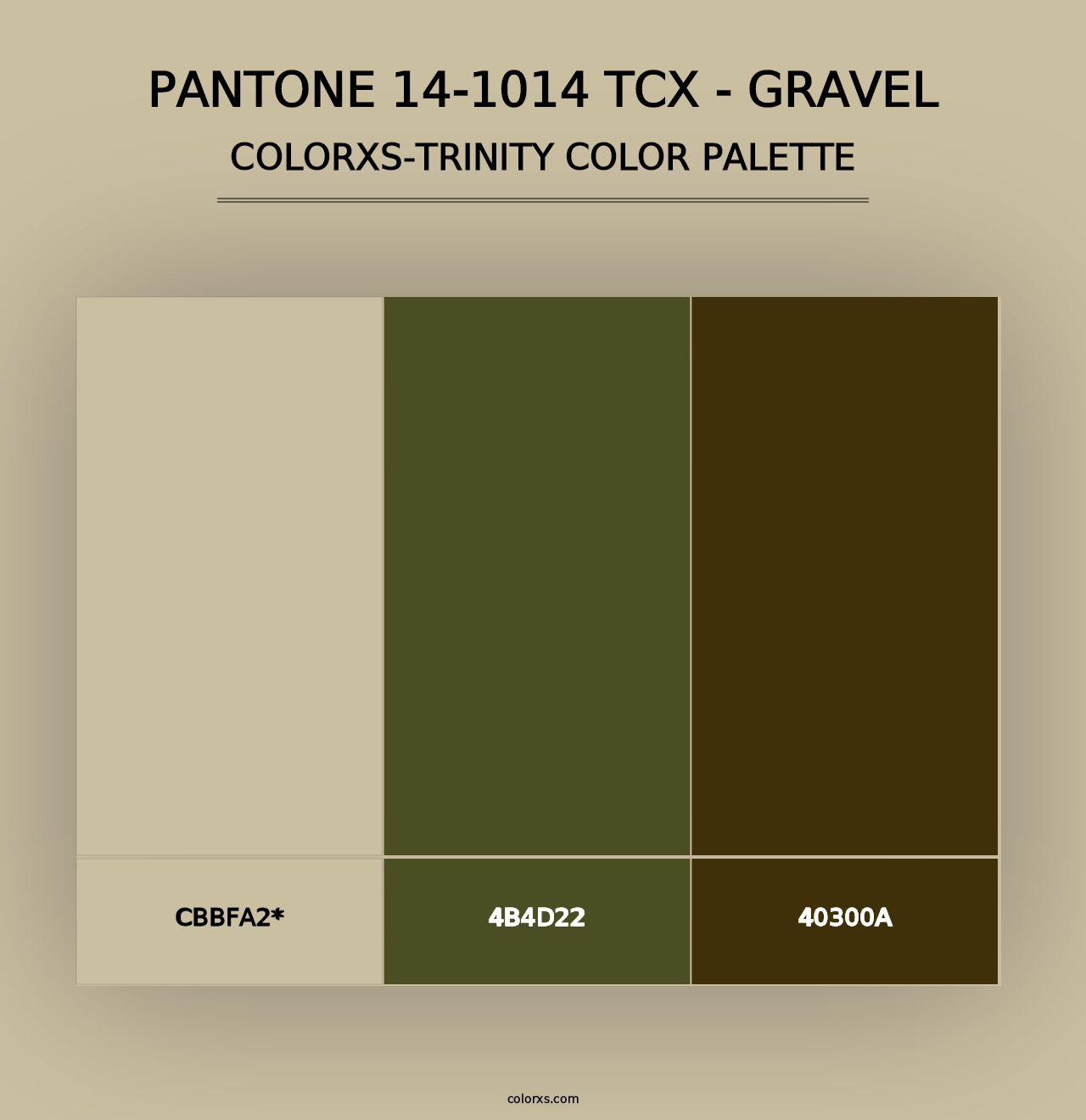 PANTONE 14-1014 TCX - Gravel - Colorxs Trinity Palette