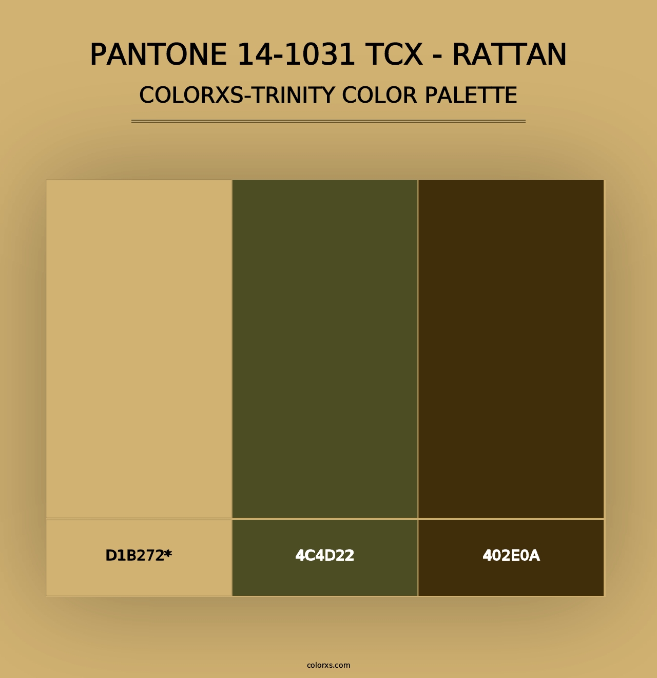 PANTONE 14-1031 TCX - Rattan - Colorxs Trinity Palette