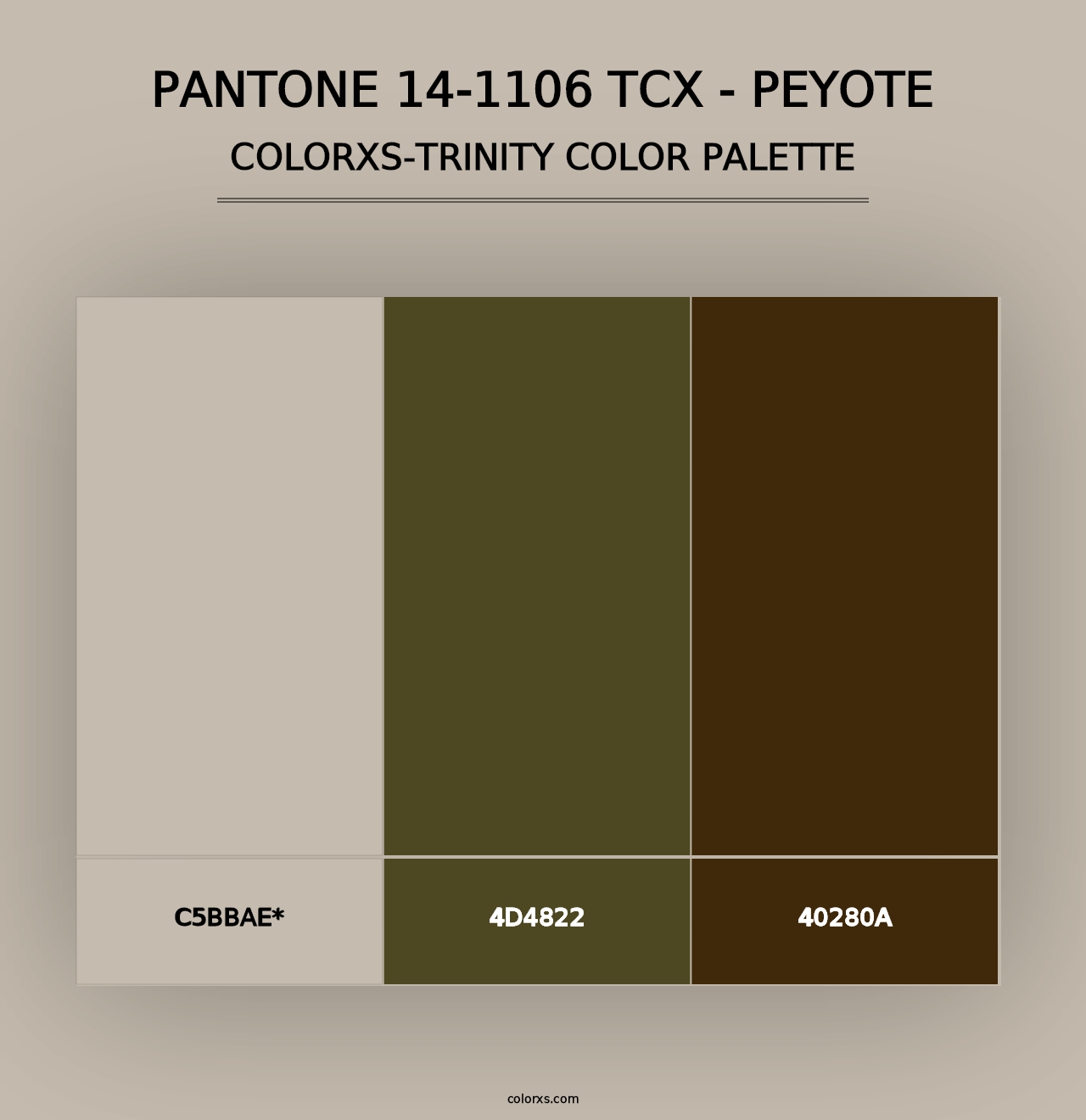 PANTONE 14-1106 TCX - Peyote - Colorxs Trinity Palette