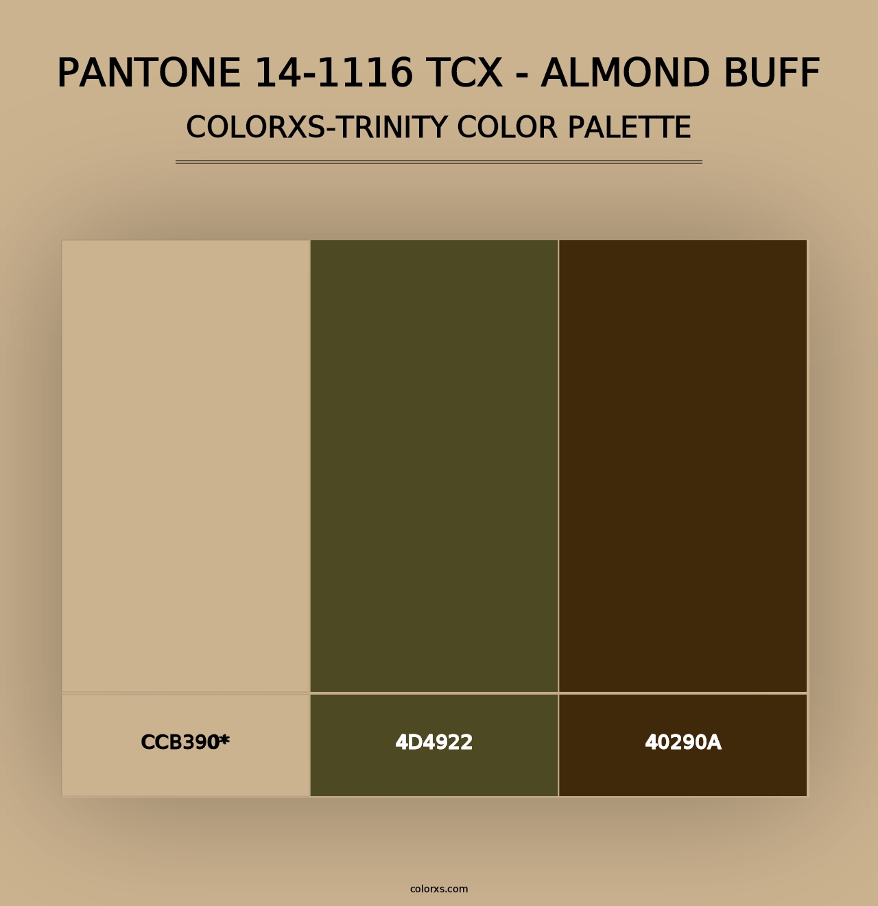 PANTONE 14-1116 TCX - Almond Buff - Colorxs Trinity Palette