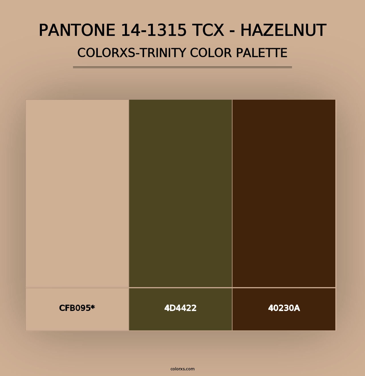 PANTONE 14-1315 TCX - Hazelnut - Colorxs Trinity Palette