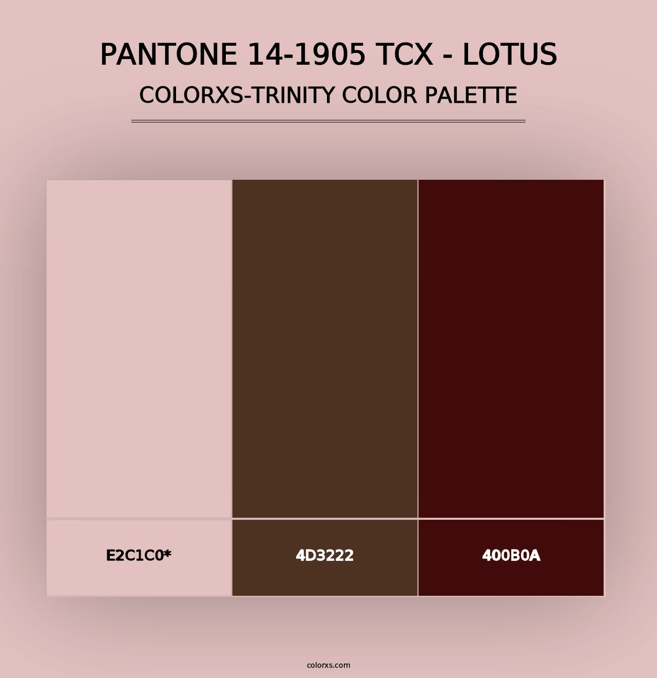 PANTONE 14-1905 TCX - Lotus - Colorxs Trinity Palette