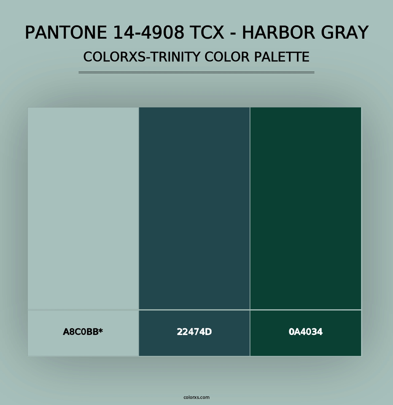 PANTONE 14-4908 TCX - Harbor Gray - Colorxs Trinity Palette