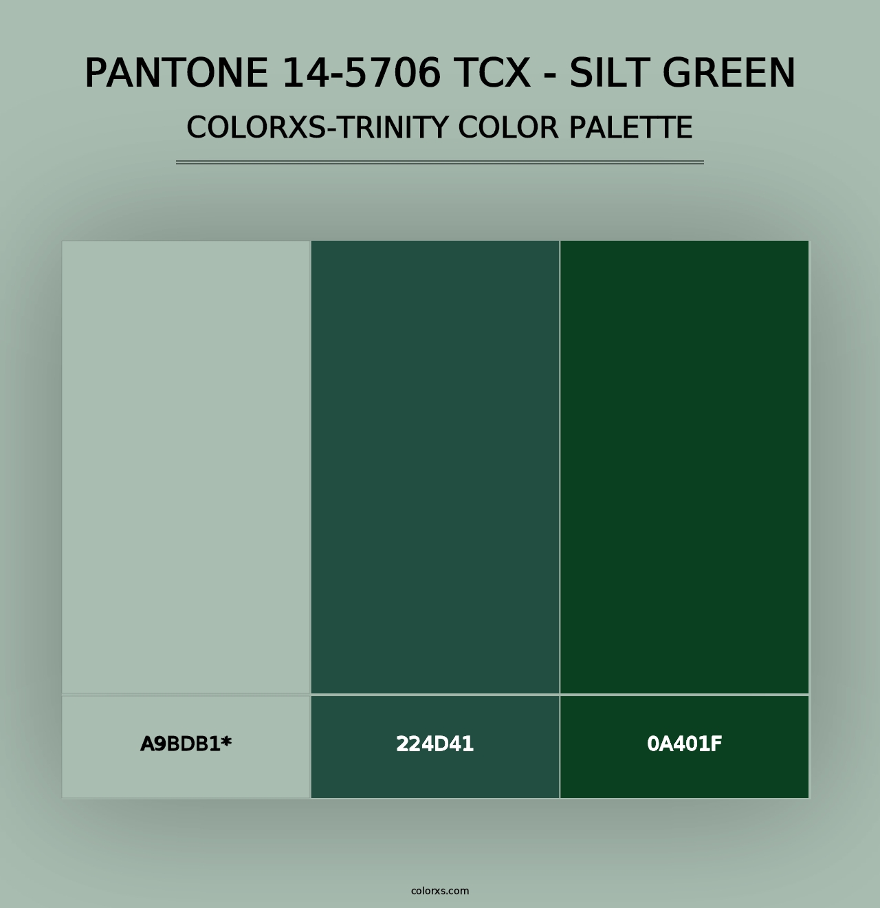 PANTONE 14-5706 TCX - Silt Green - Colorxs Trinity Palette