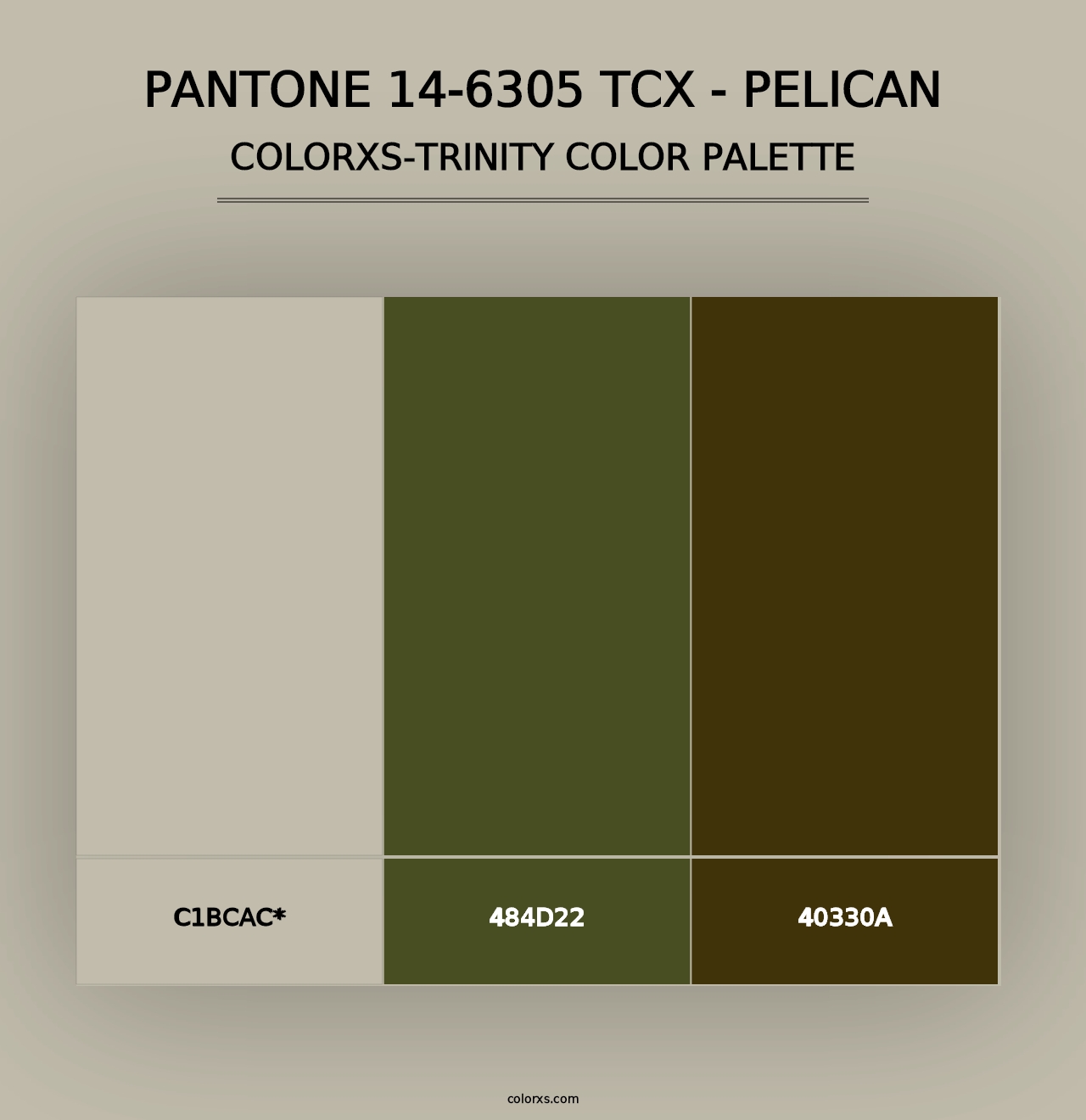 PANTONE 14-6305 TCX - Pelican - Colorxs Trinity Palette