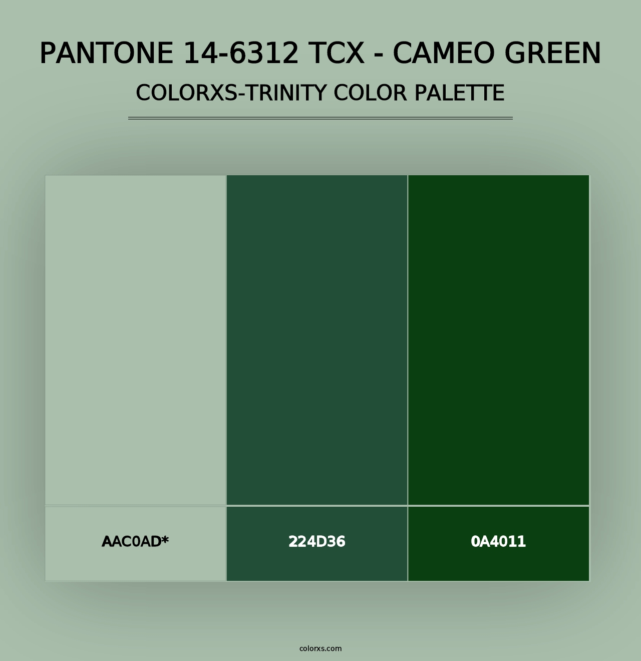 PANTONE 14-6312 TCX - Cameo Green - Colorxs Trinity Palette