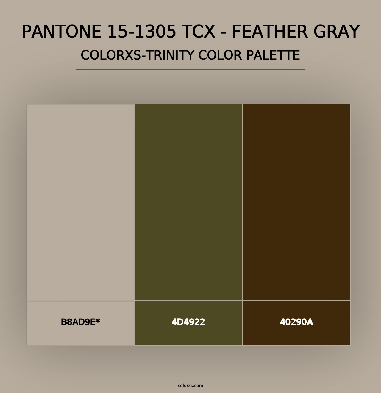 PANTONE 15-1305 TCX - Feather Gray - Colorxs Trinity Palette