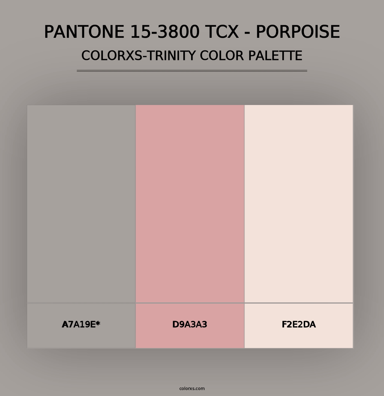 PANTONE 15-3800 TCX - Porpoise - Colorxs Trinity Palette