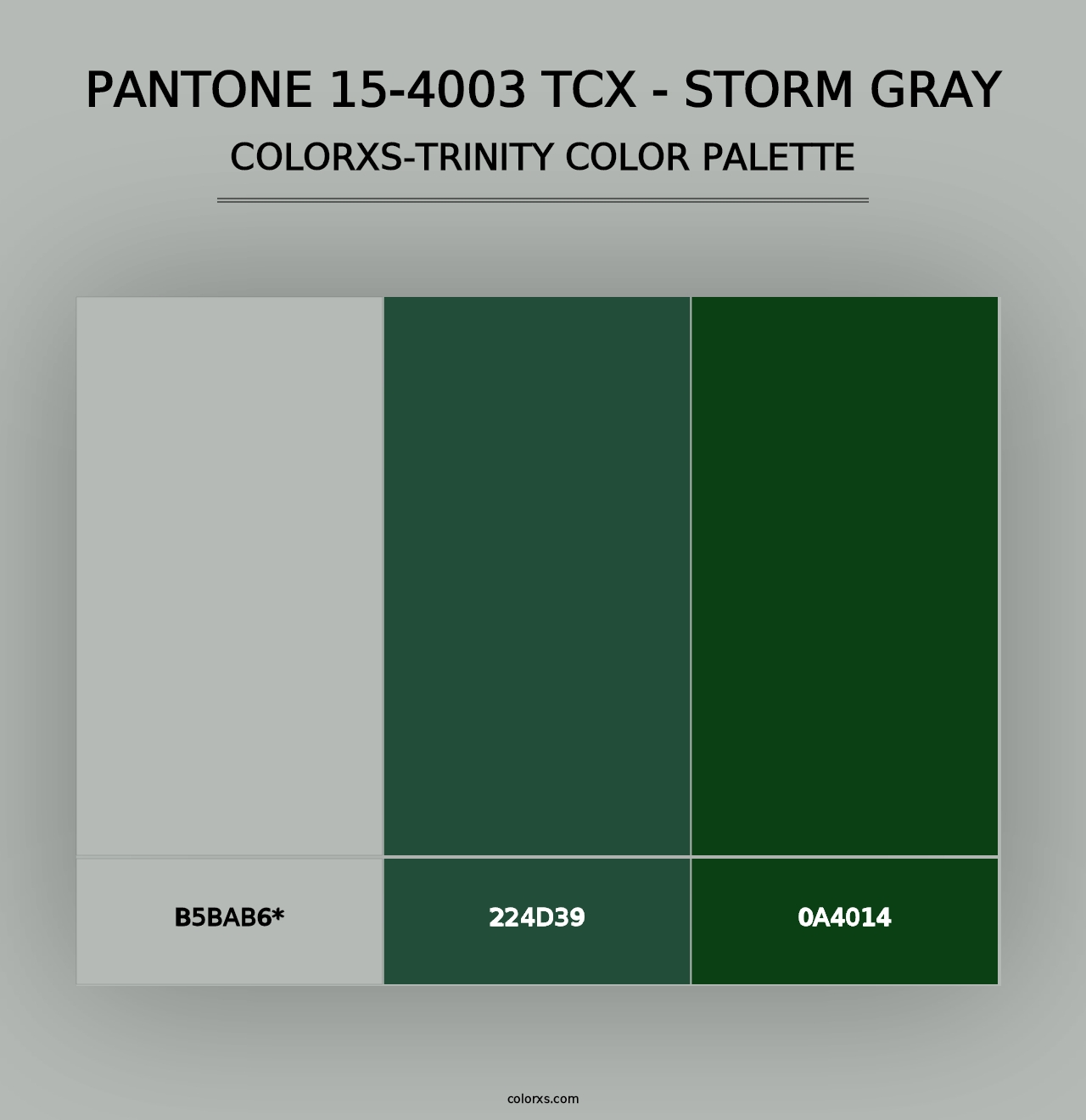 PANTONE 15-4003 TCX - Storm Gray - Colorxs Trinity Palette