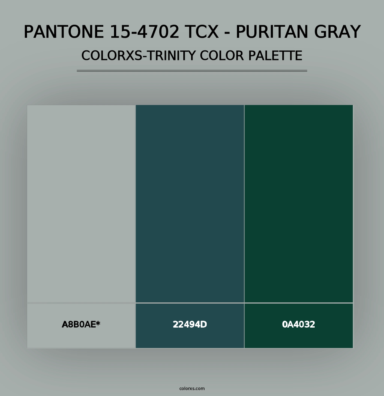 PANTONE 15-4702 TCX - Puritan Gray - Colorxs Trinity Palette