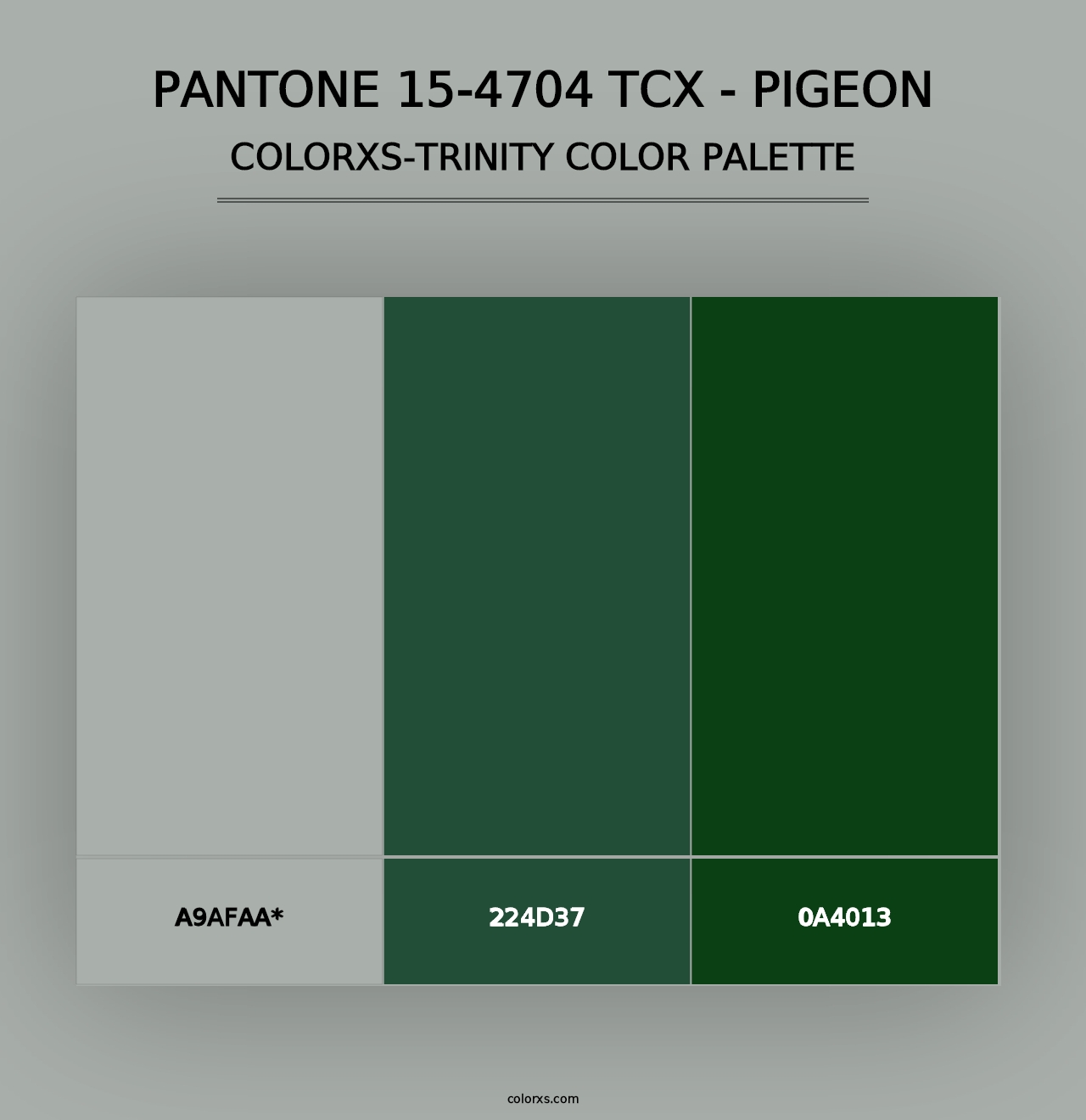 PANTONE 15-4704 TCX - Pigeon - Colorxs Trinity Palette