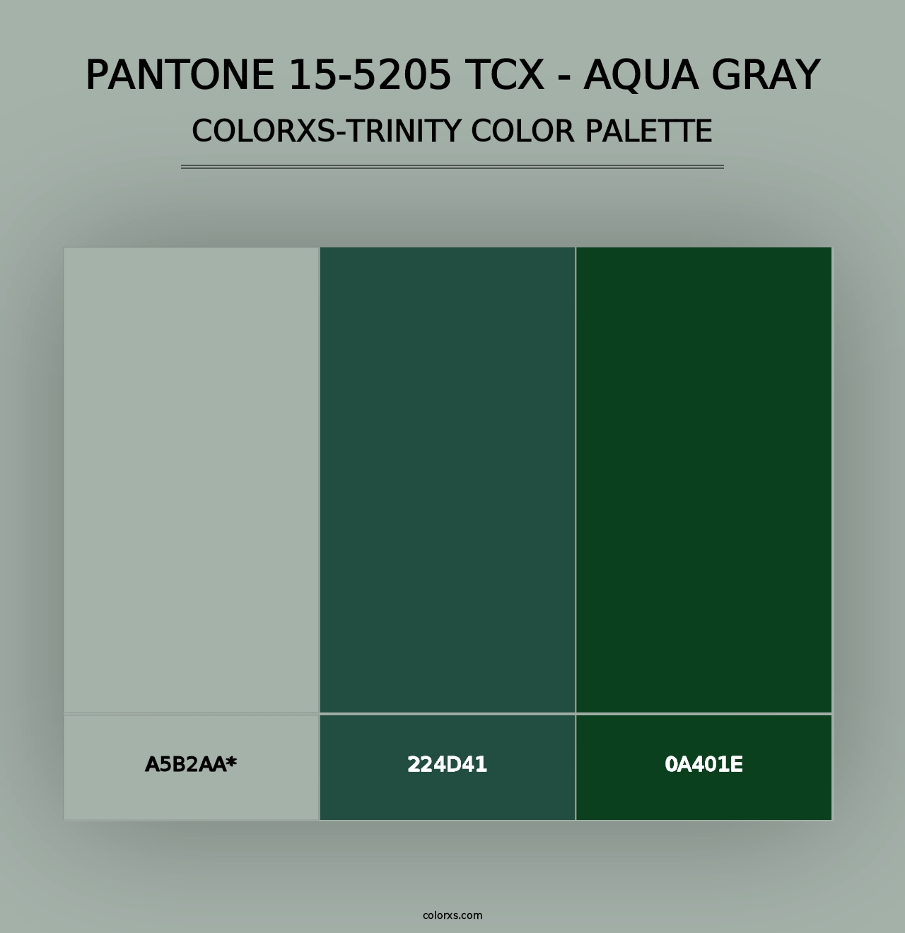 PANTONE 15-5205 TCX - Aqua Gray - Colorxs Trinity Palette