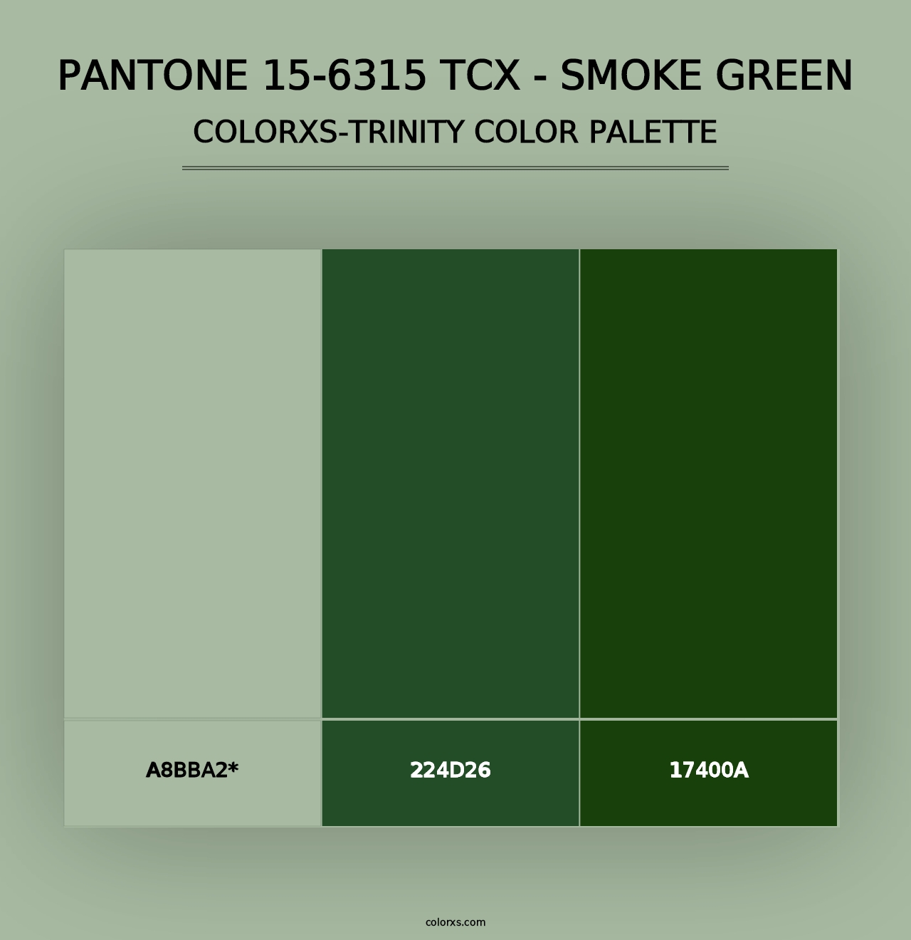 PANTONE 15-6315 TCX - Smoke Green - Colorxs Trinity Palette