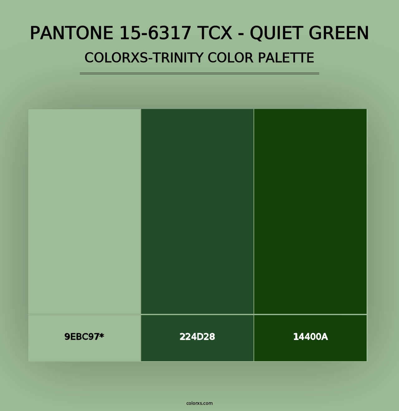 PANTONE 15-6317 TCX - Quiet Green - Colorxs Trinity Palette