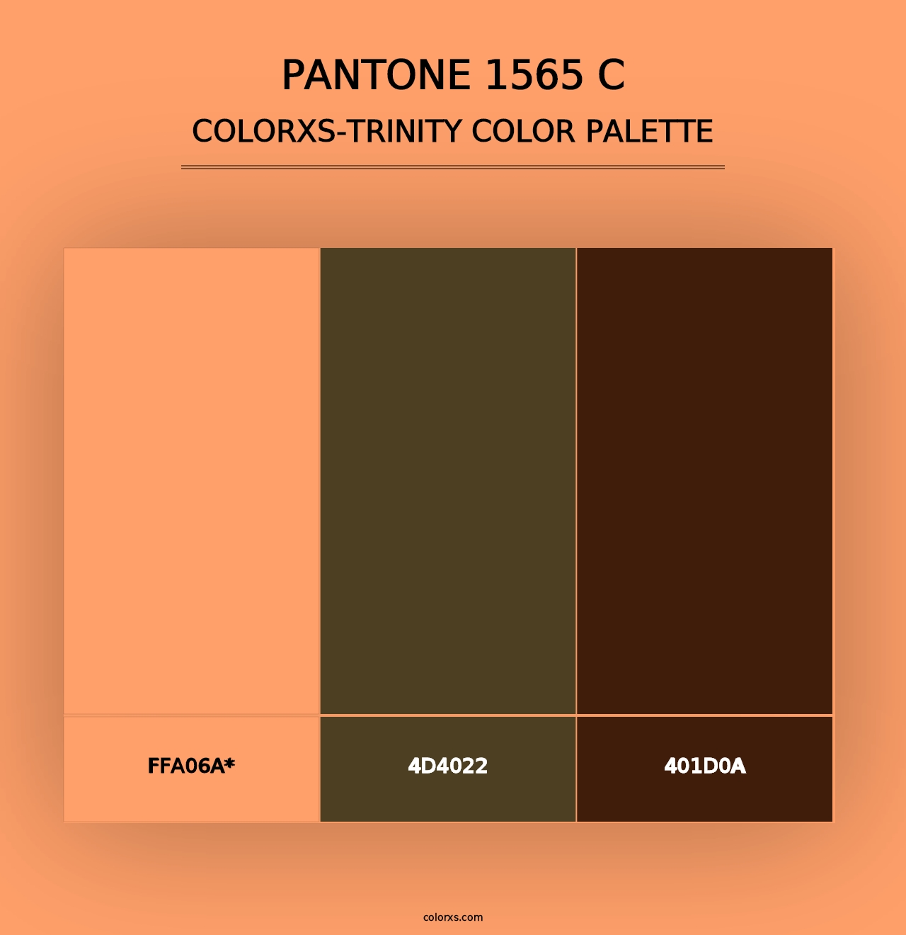 PANTONE 1565 C - Colorxs Trinity Palette