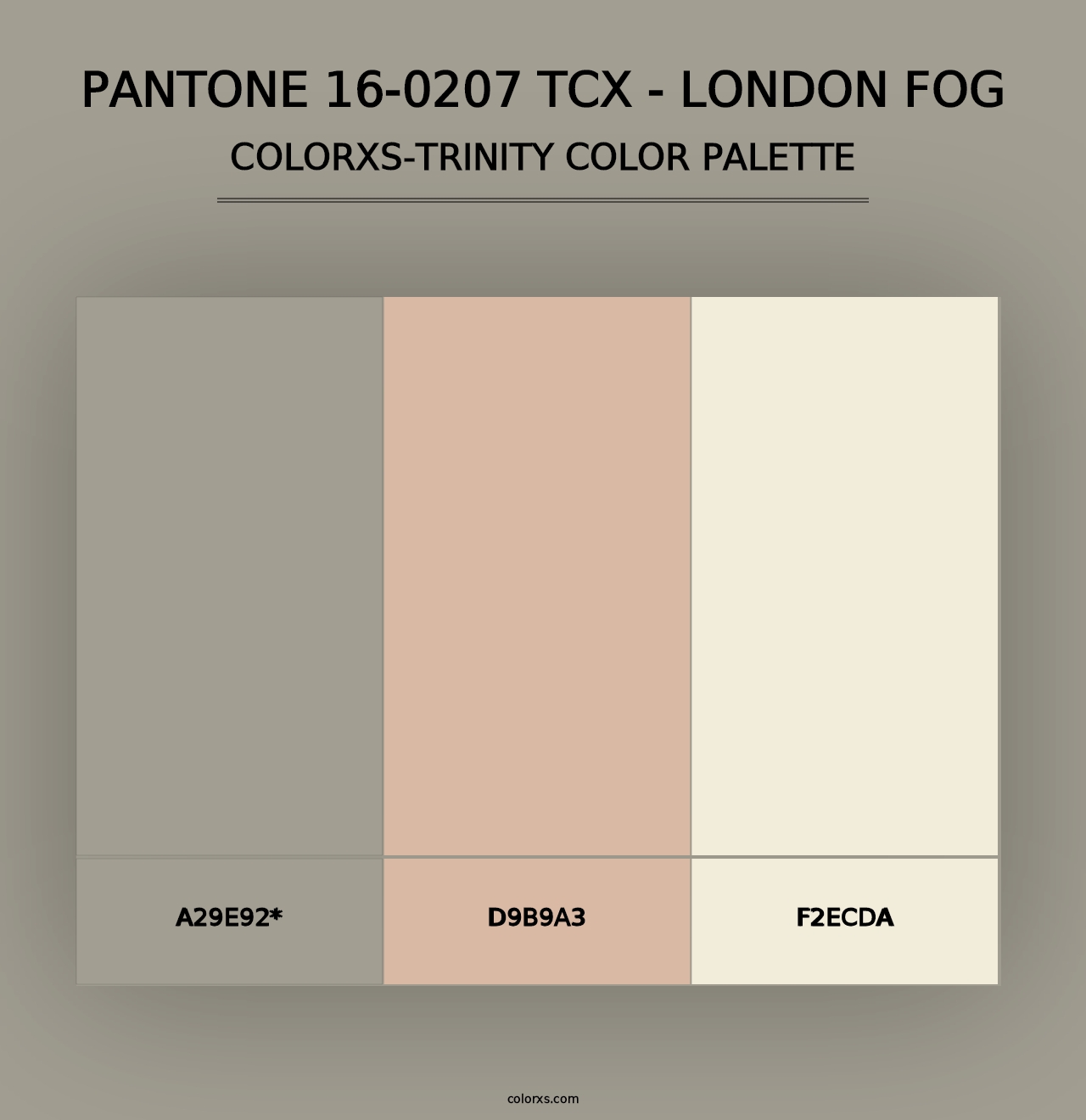 PANTONE 16-0207 TCX - London Fog - Colorxs Trinity Palette