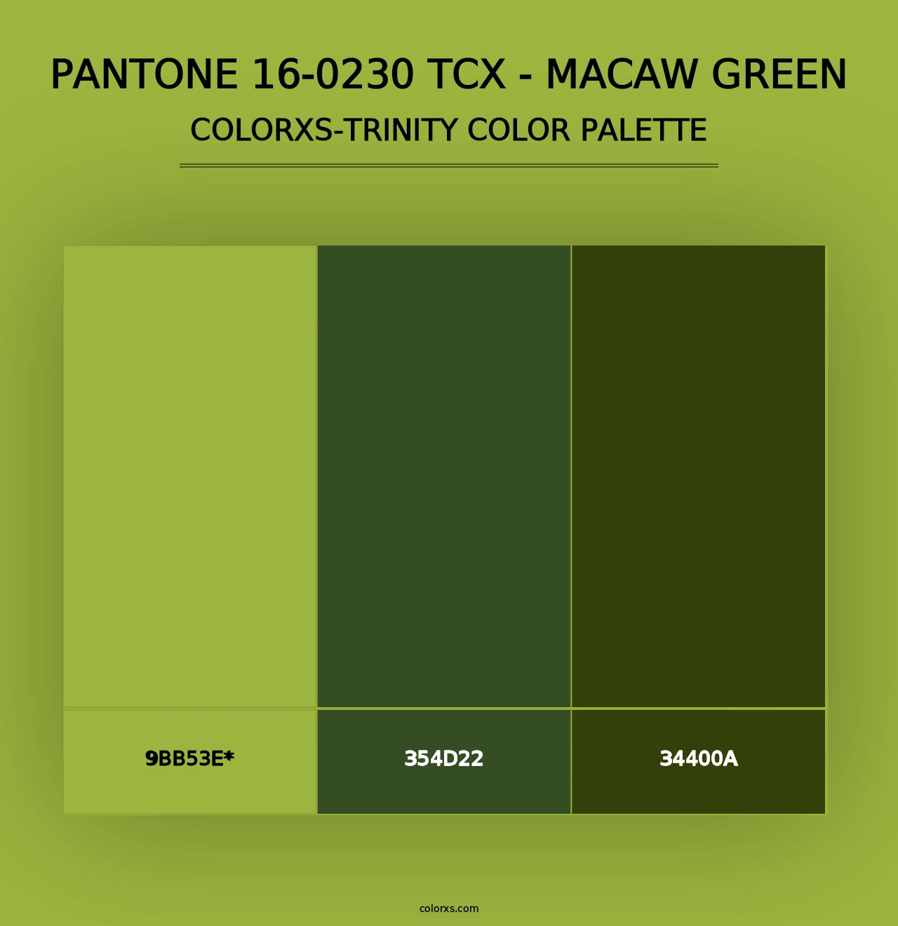 PANTONE 16-0230 TCX - Macaw Green - Colorxs Trinity Palette