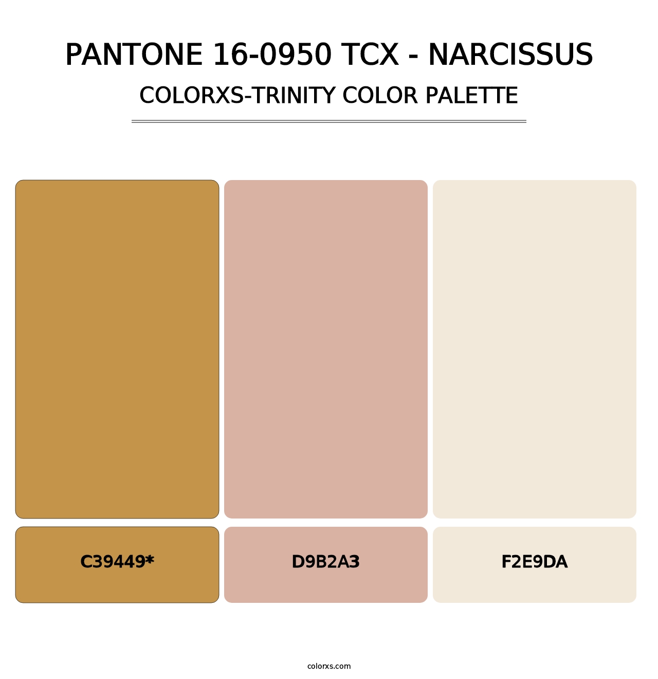 PANTONE 16-0950 TCX - Narcissus - Colorxs Trinity Palette