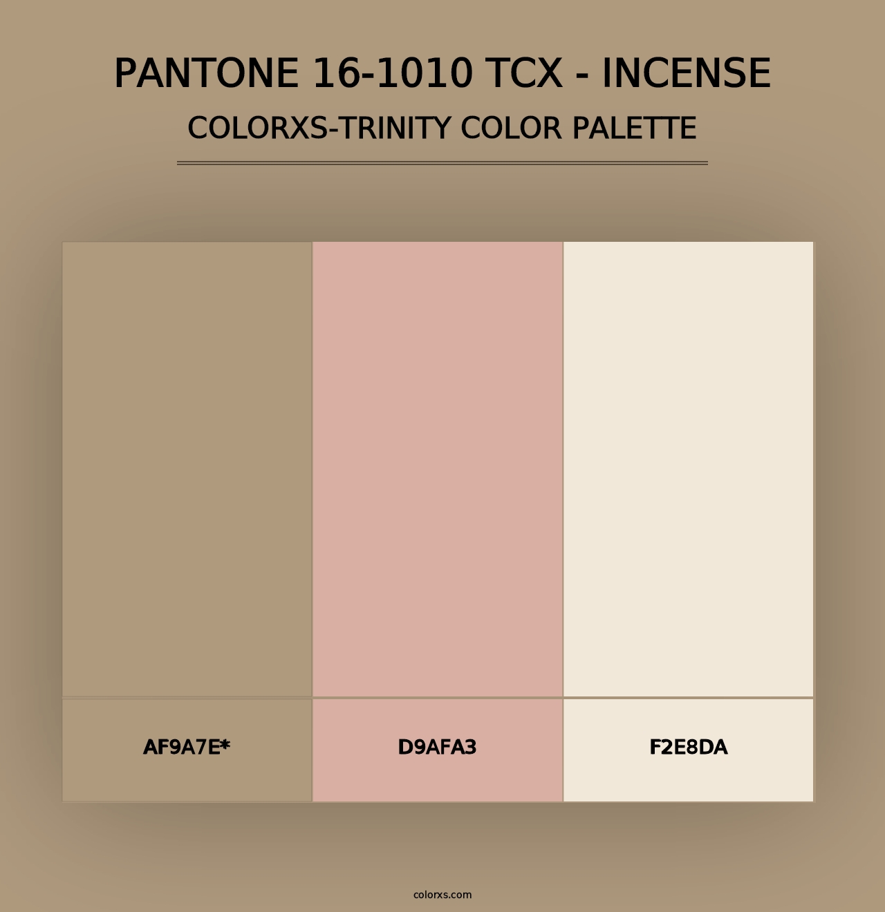 PANTONE 16-1010 TCX - Incense - Colorxs Trinity Palette