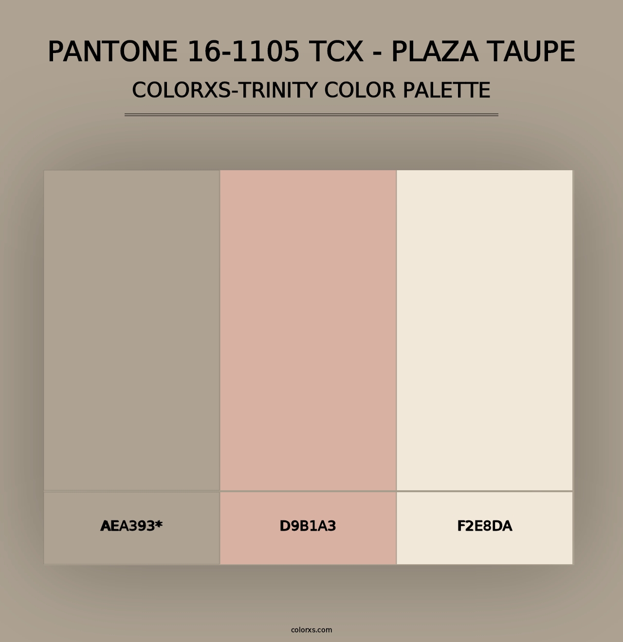 PANTONE 16-1105 TCX - Plaza Taupe - Colorxs Trinity Palette