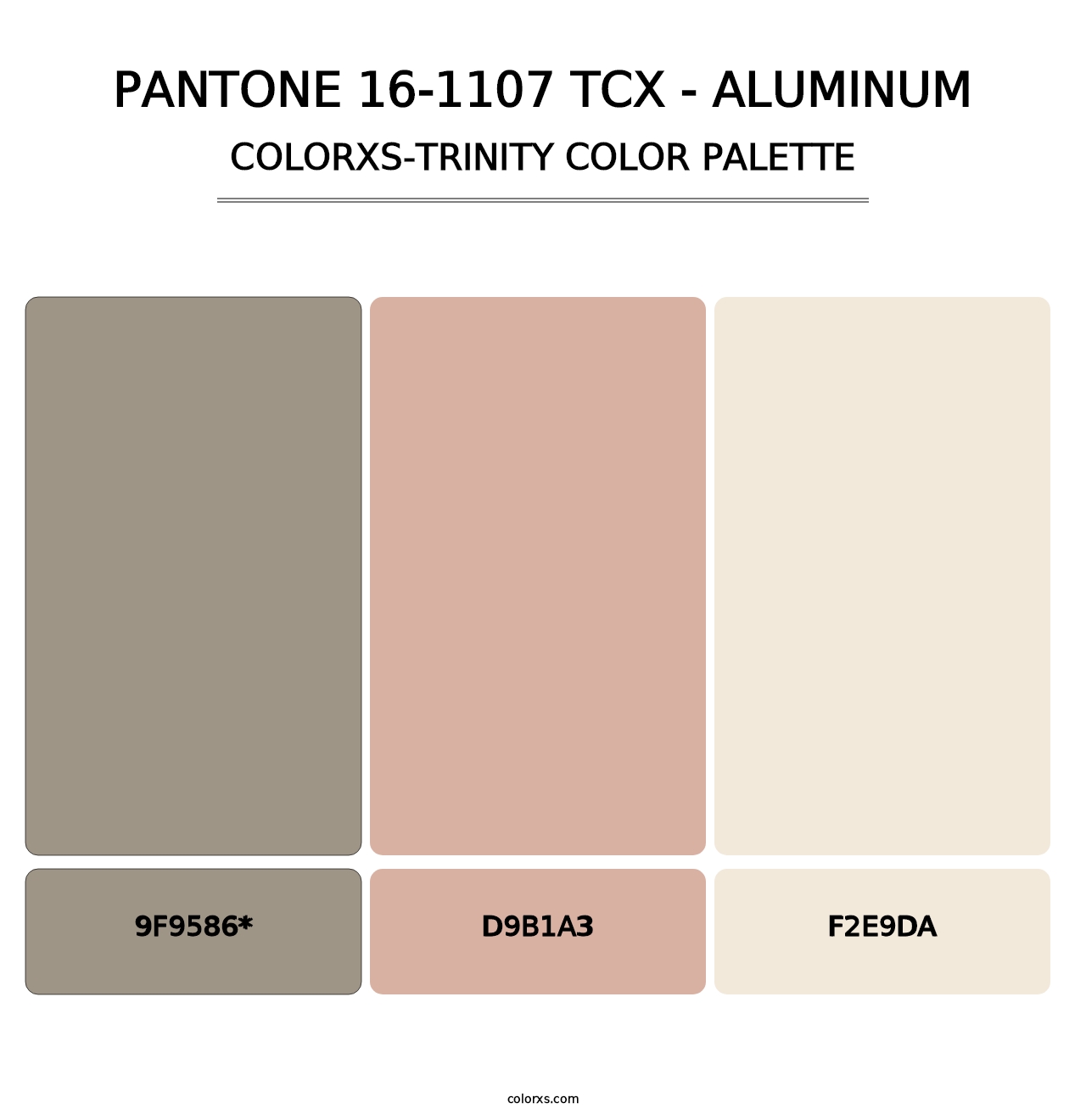 PANTONE 16-1107 TCX - Aluminum - Colorxs Trinity Palette