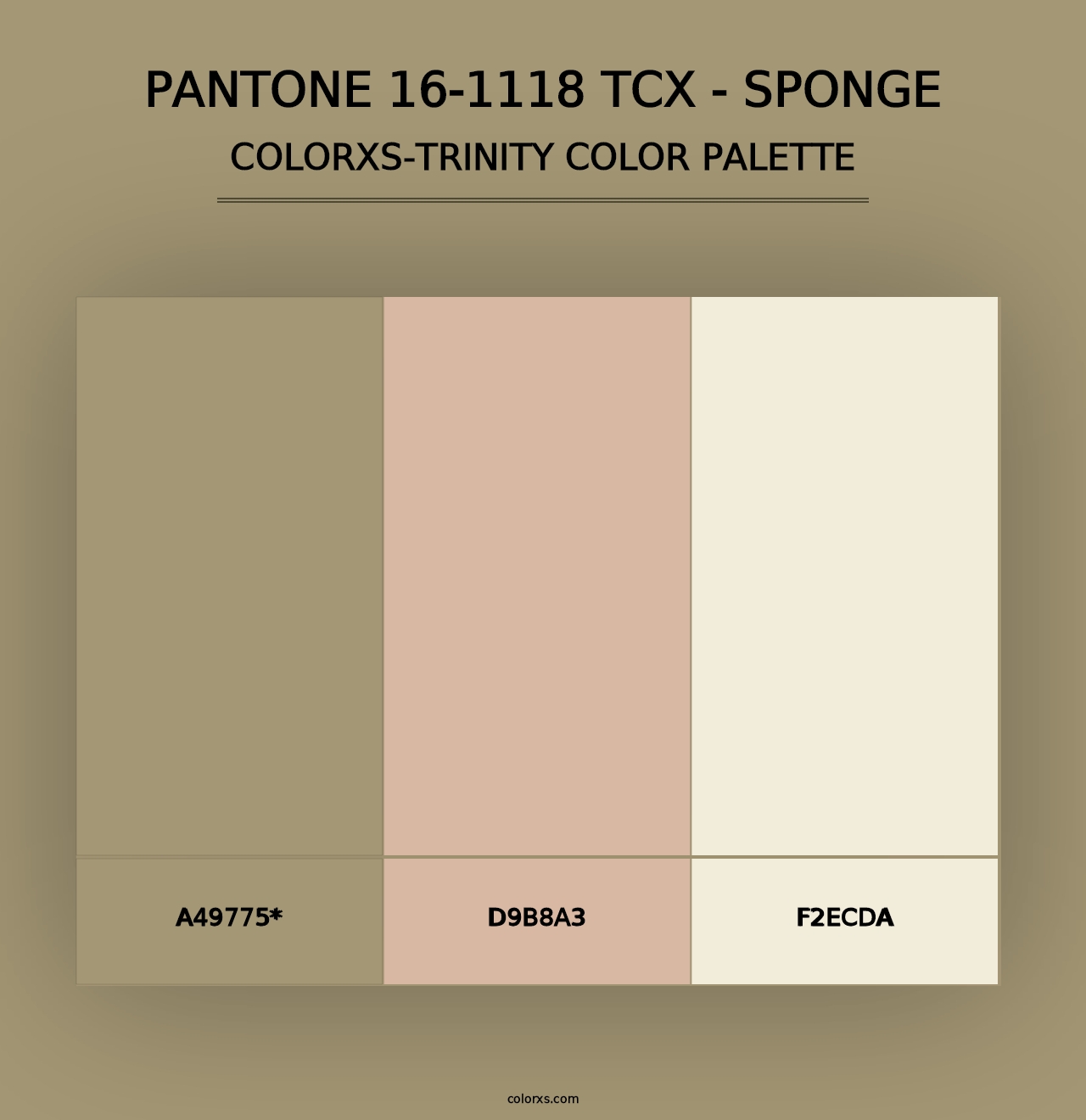 PANTONE 16-1118 TCX - Sponge - Colorxs Trinity Palette