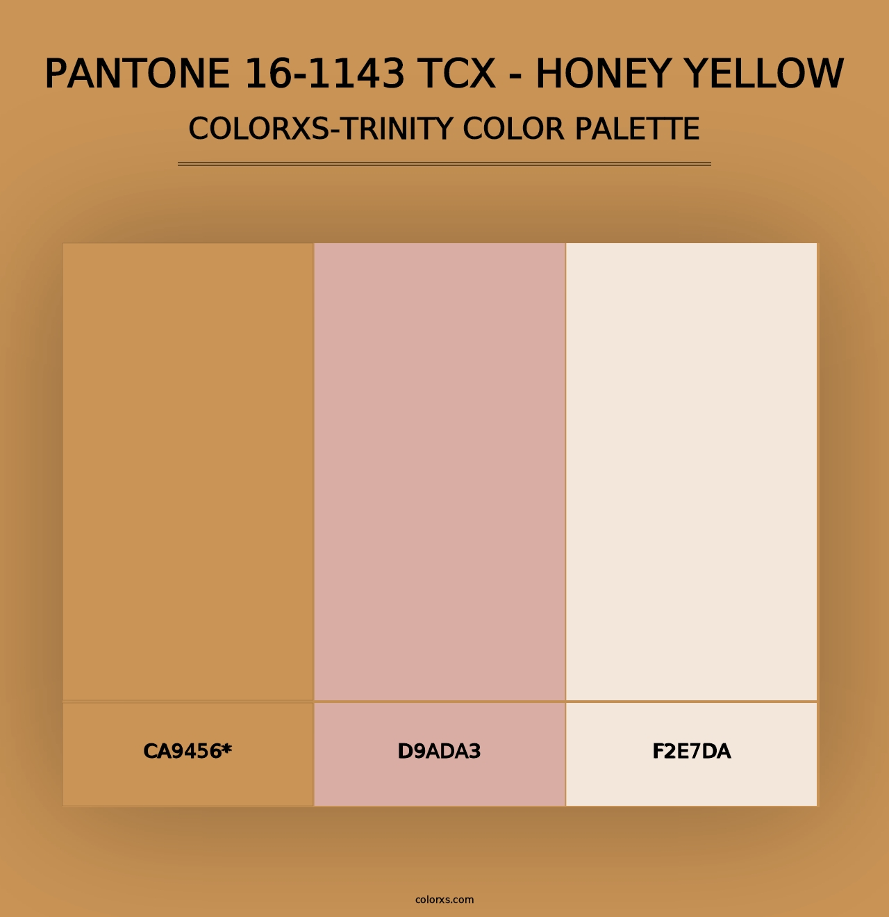 PANTONE 16-1143 TCX - Honey Yellow - Colorxs Trinity Palette