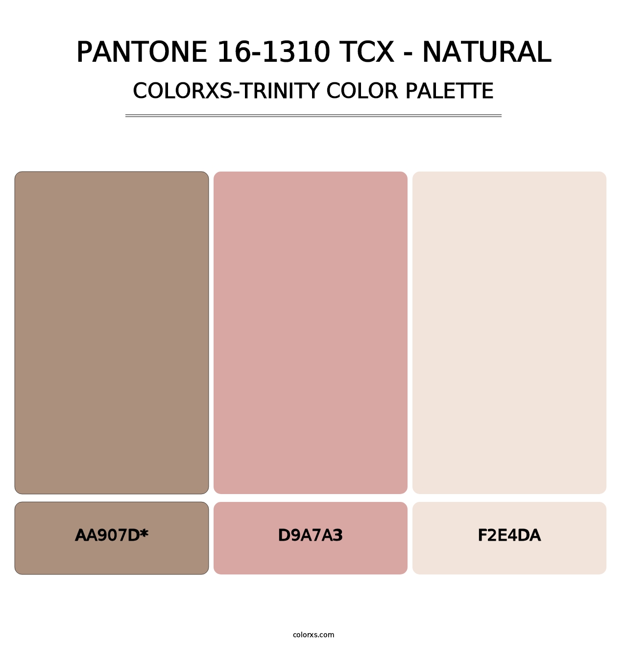 PANTONE 16-1310 TCX - Natural - Colorxs Trinity Palette