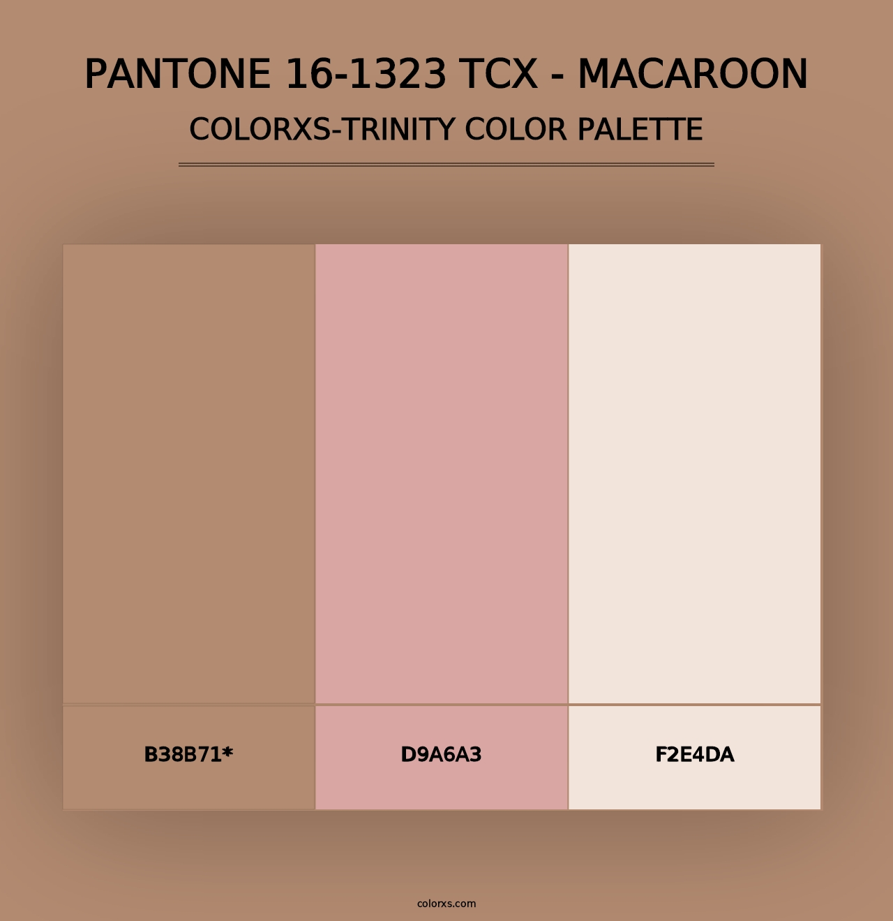 PANTONE 16-1323 TCX - Macaroon - Colorxs Trinity Palette