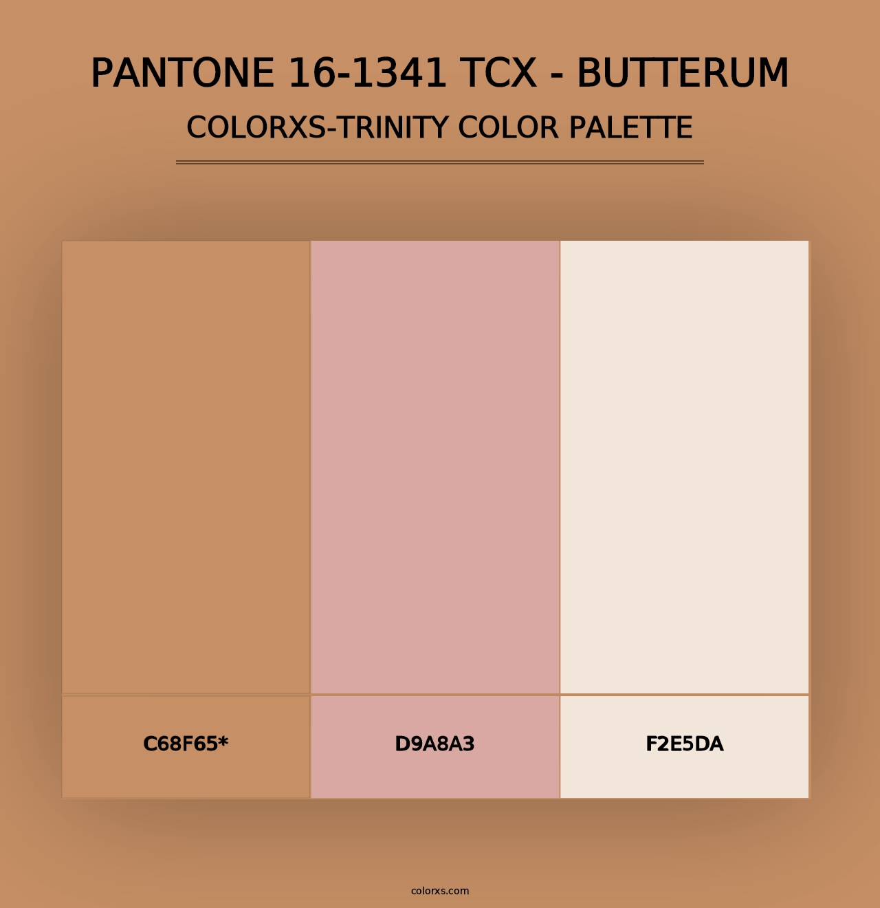 PANTONE 16-1341 TCX - Butterum - Colorxs Trinity Palette