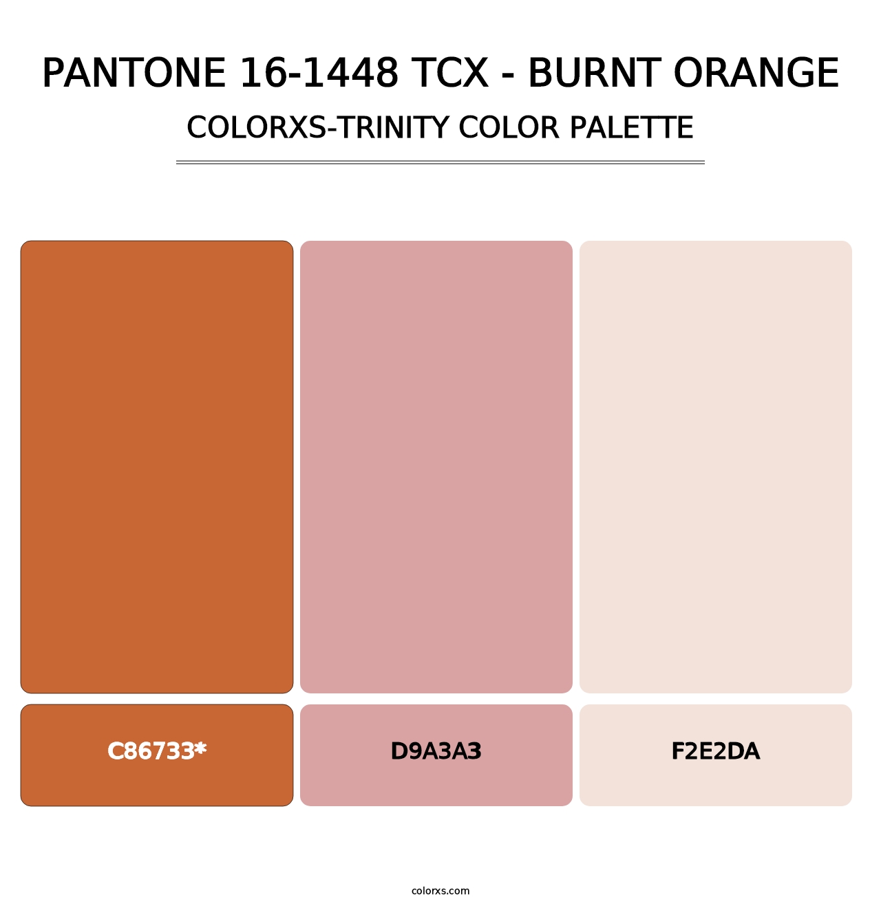 PANTONE 16-1448 TCX - Burnt Orange - Colorxs Trinity Palette