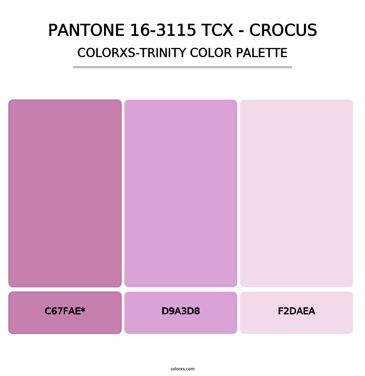 PANTONE 16-3115 TCX - Crocus - Colorxs Trinity Palette