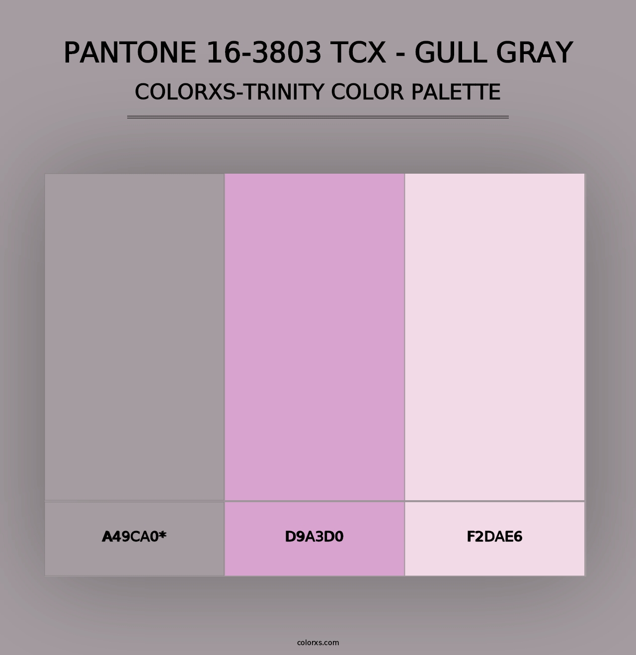 PANTONE 16-3803 TCX - Gull Gray - Colorxs Trinity Palette