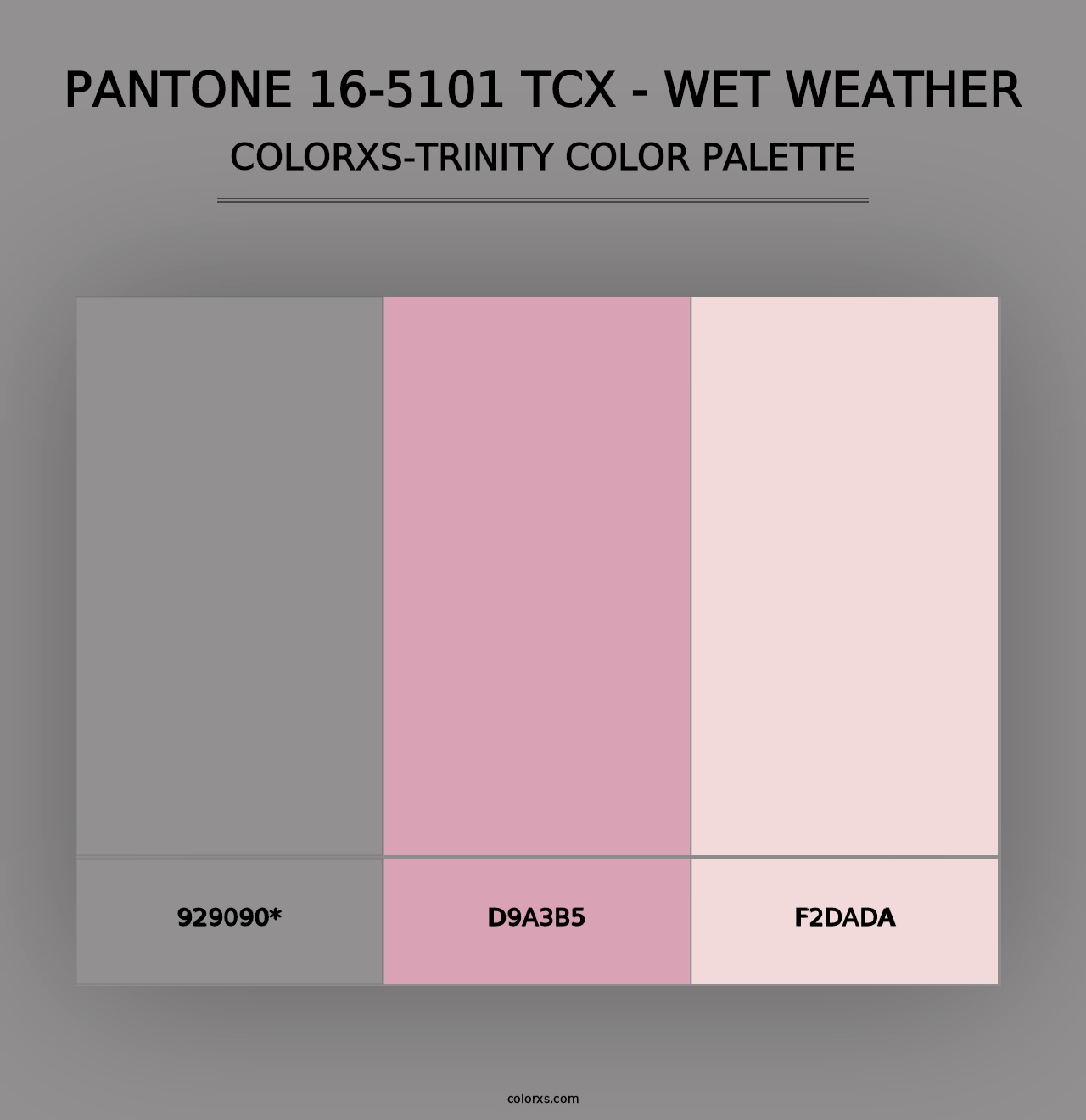 PANTONE 16-5101 TCX - Wet Weather - Colorxs Trinity Palette